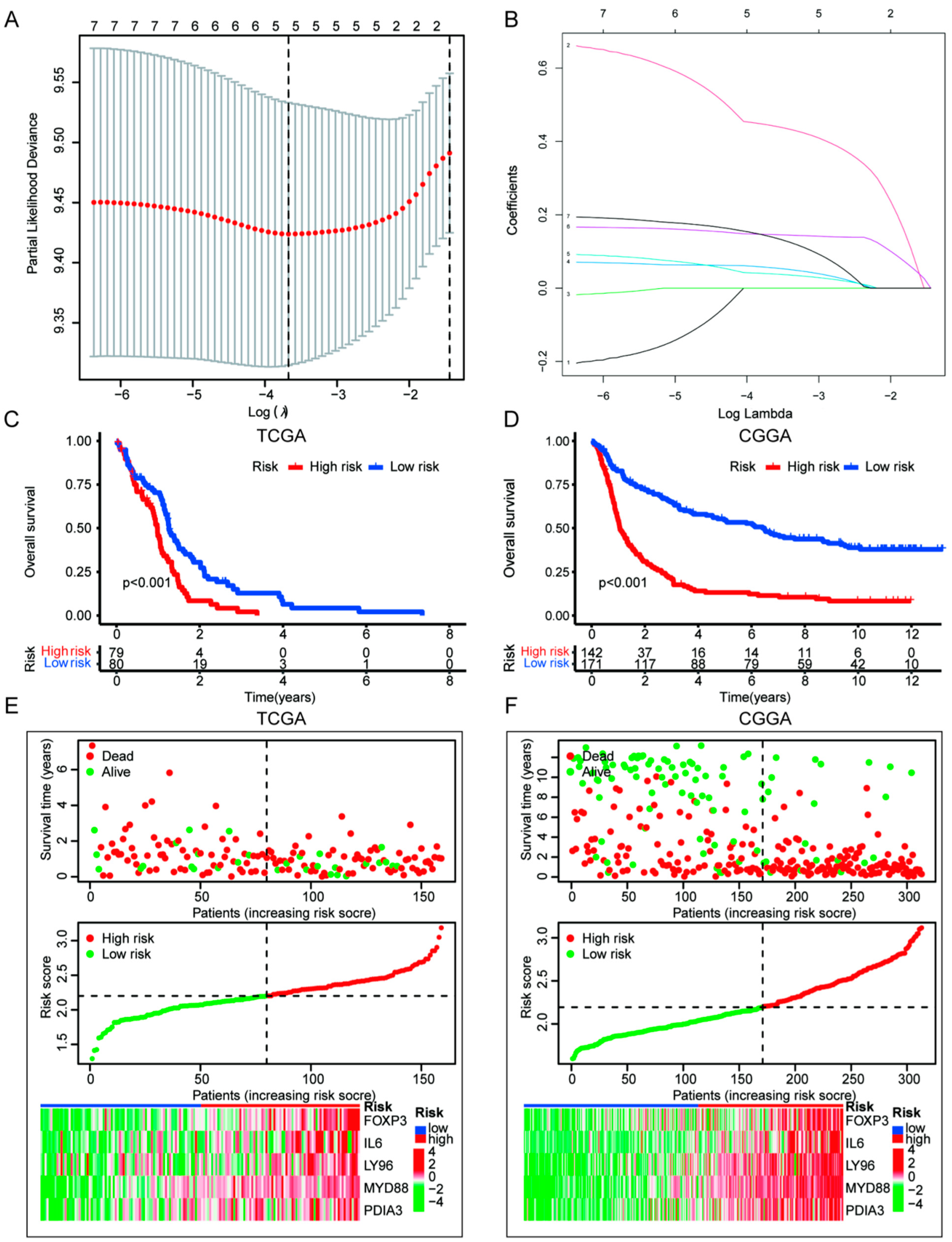 Cells 11 03655 g006 Cells 11 03655 g006