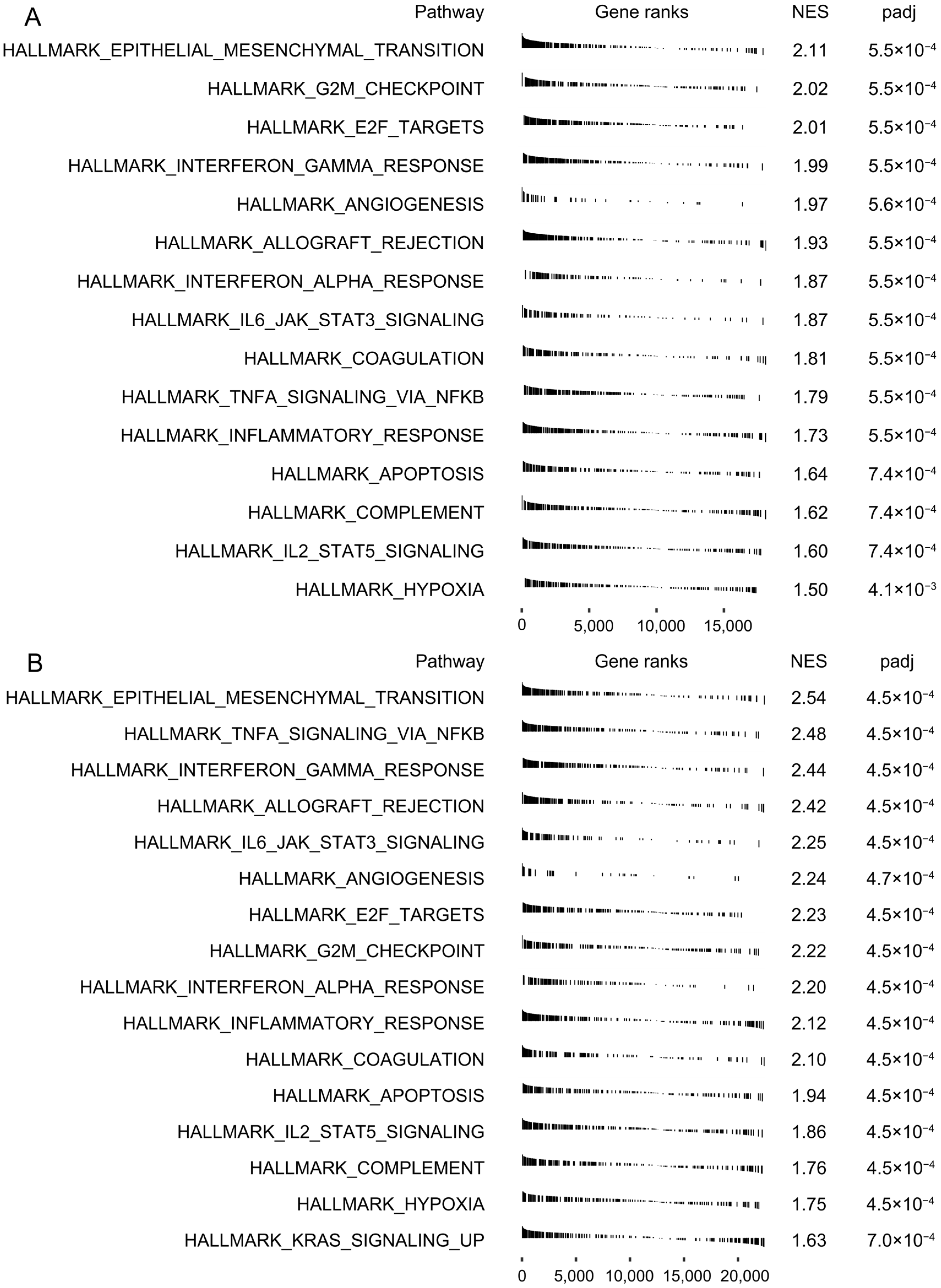 Cells 11 03669 g006 Cells 11 03669 g006