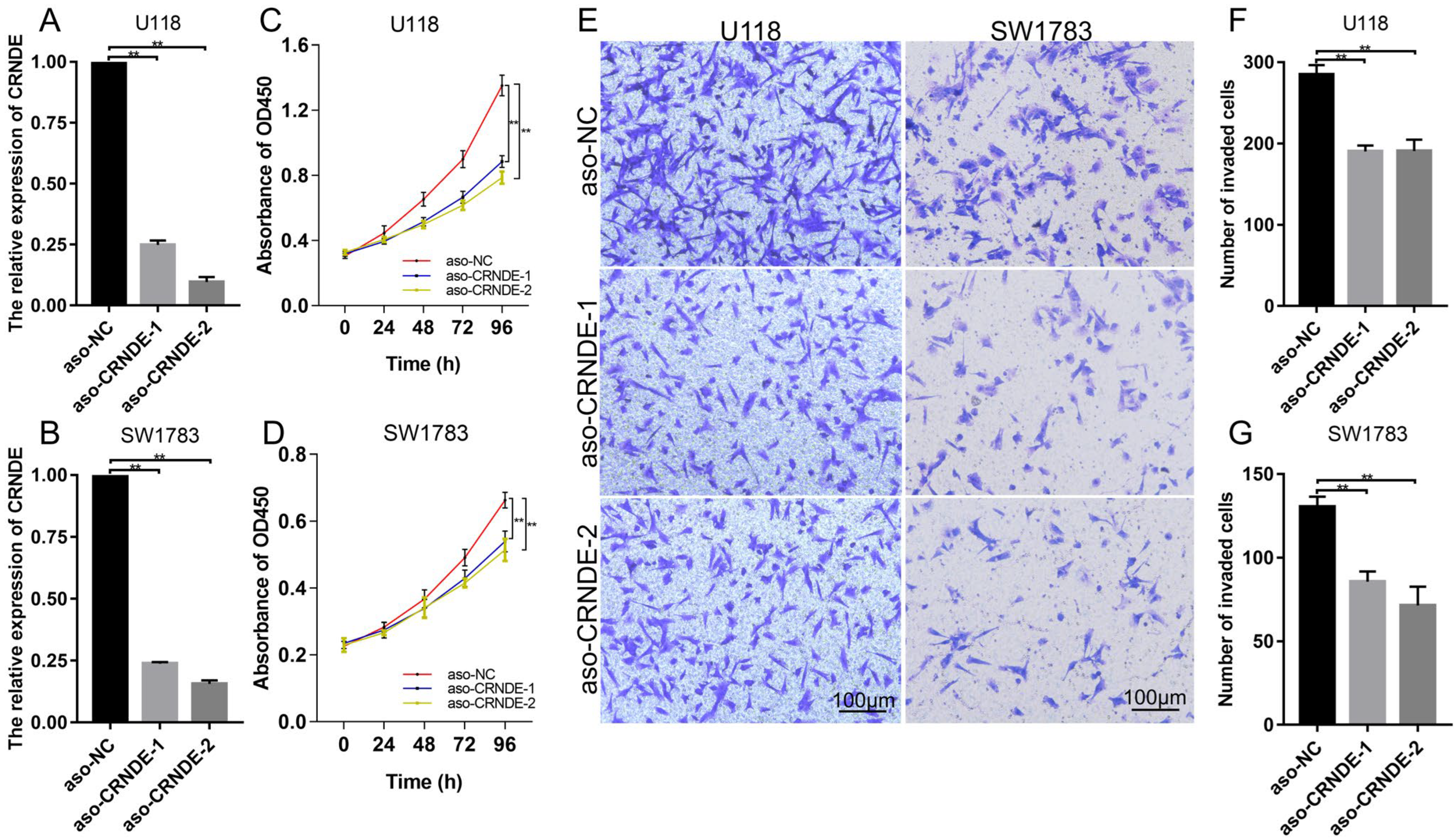 Cells 11 03669 g010 Cells 11 03669 g010