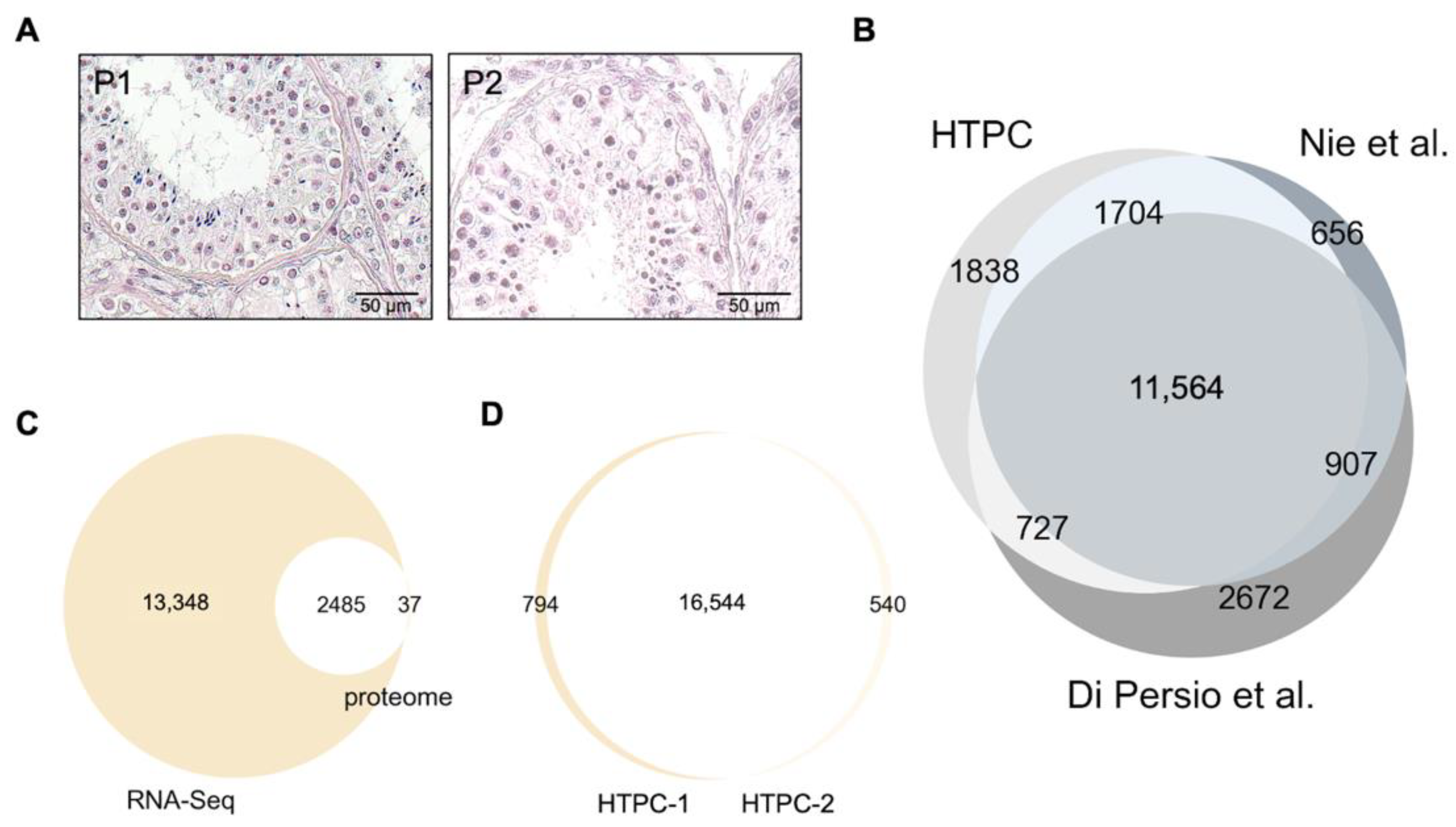 Cells 11 03685 g001 Cells 11 03685 g001