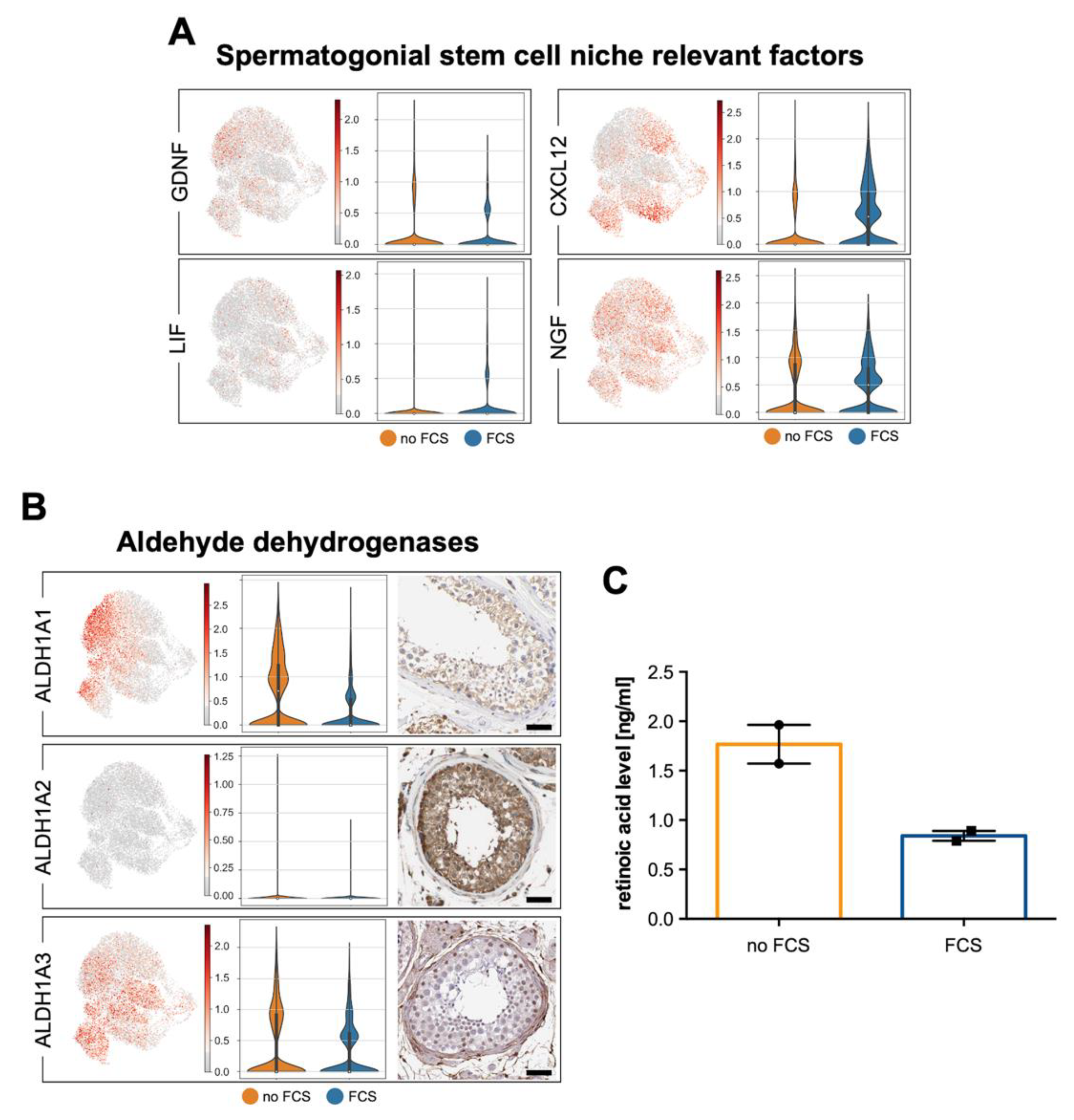 Cells 11 03685 g006 Cells 11 03685 g006