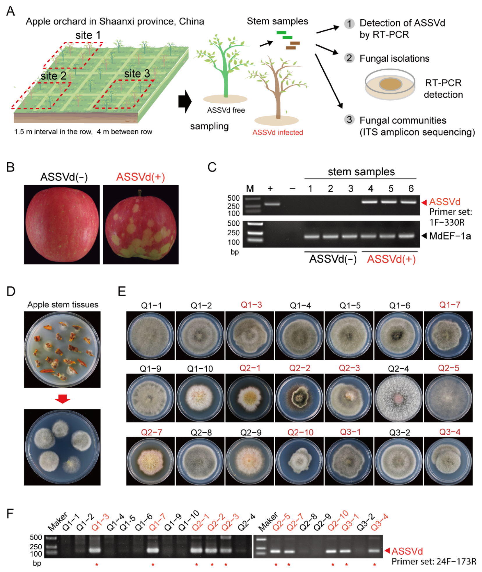 Cells 11 03686 g001 Cells 11 03686 g001