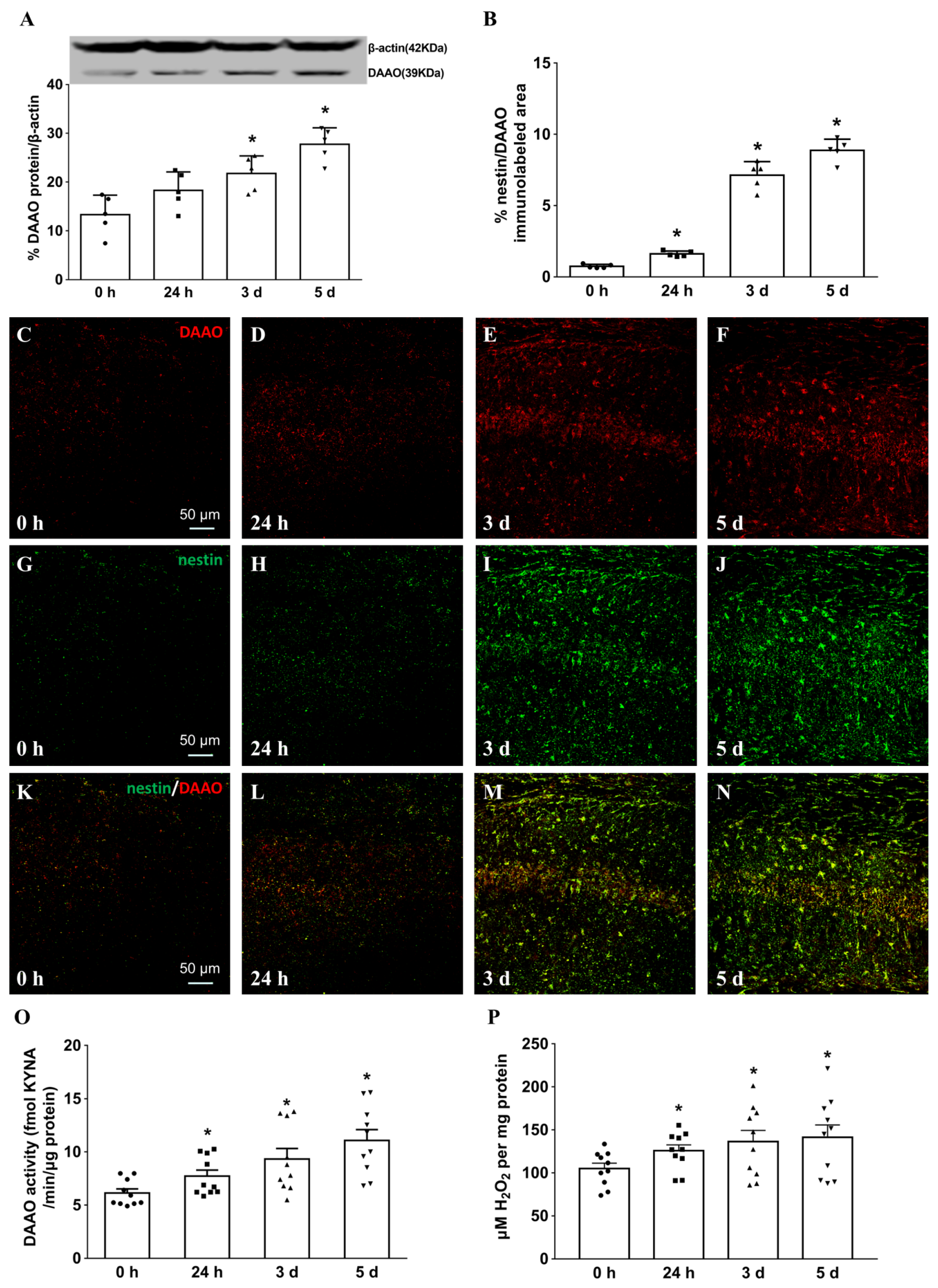 Cells 11 03689 g002 Cells 11 03689 g002