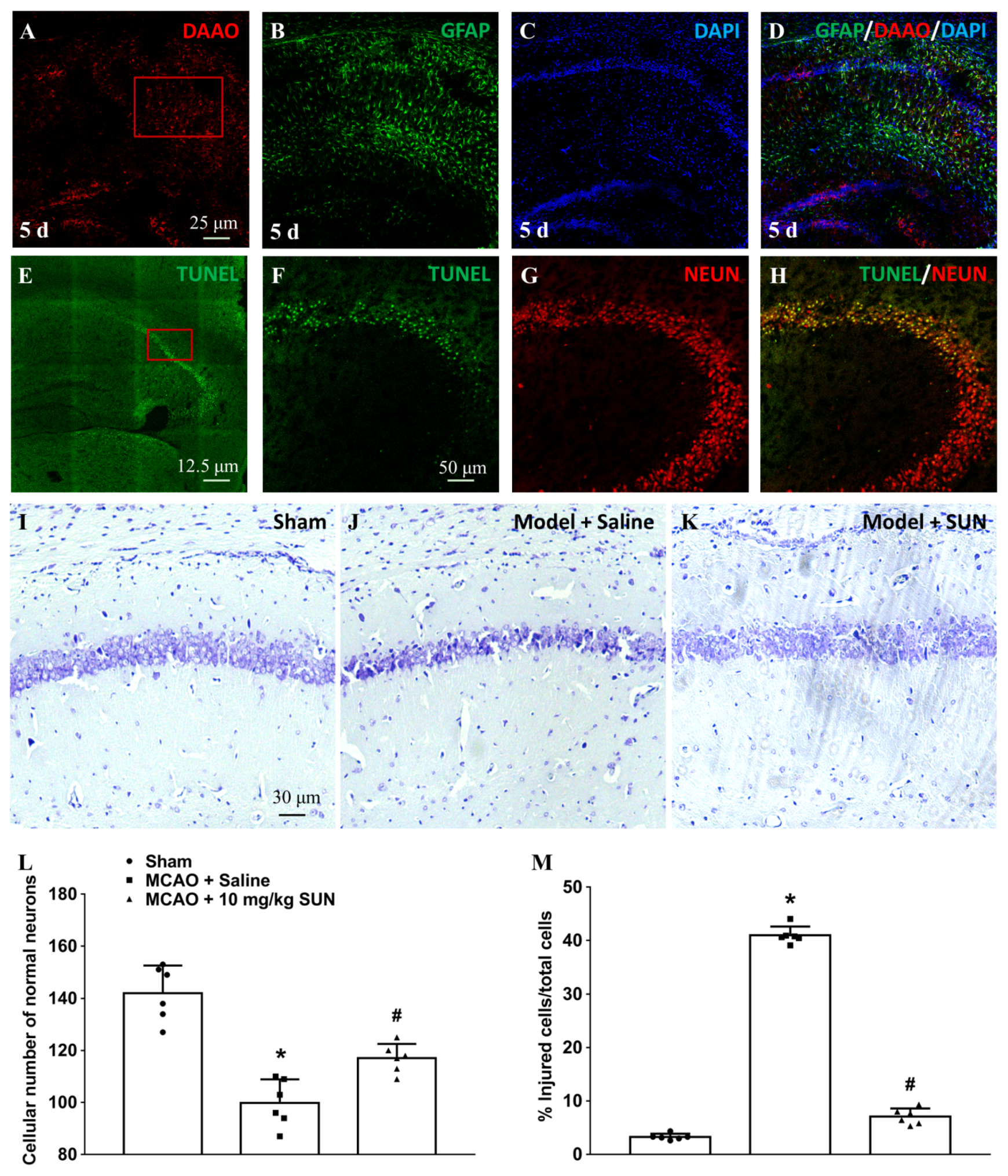 Cells 11 03689 g004 Cells 11 03689 g004