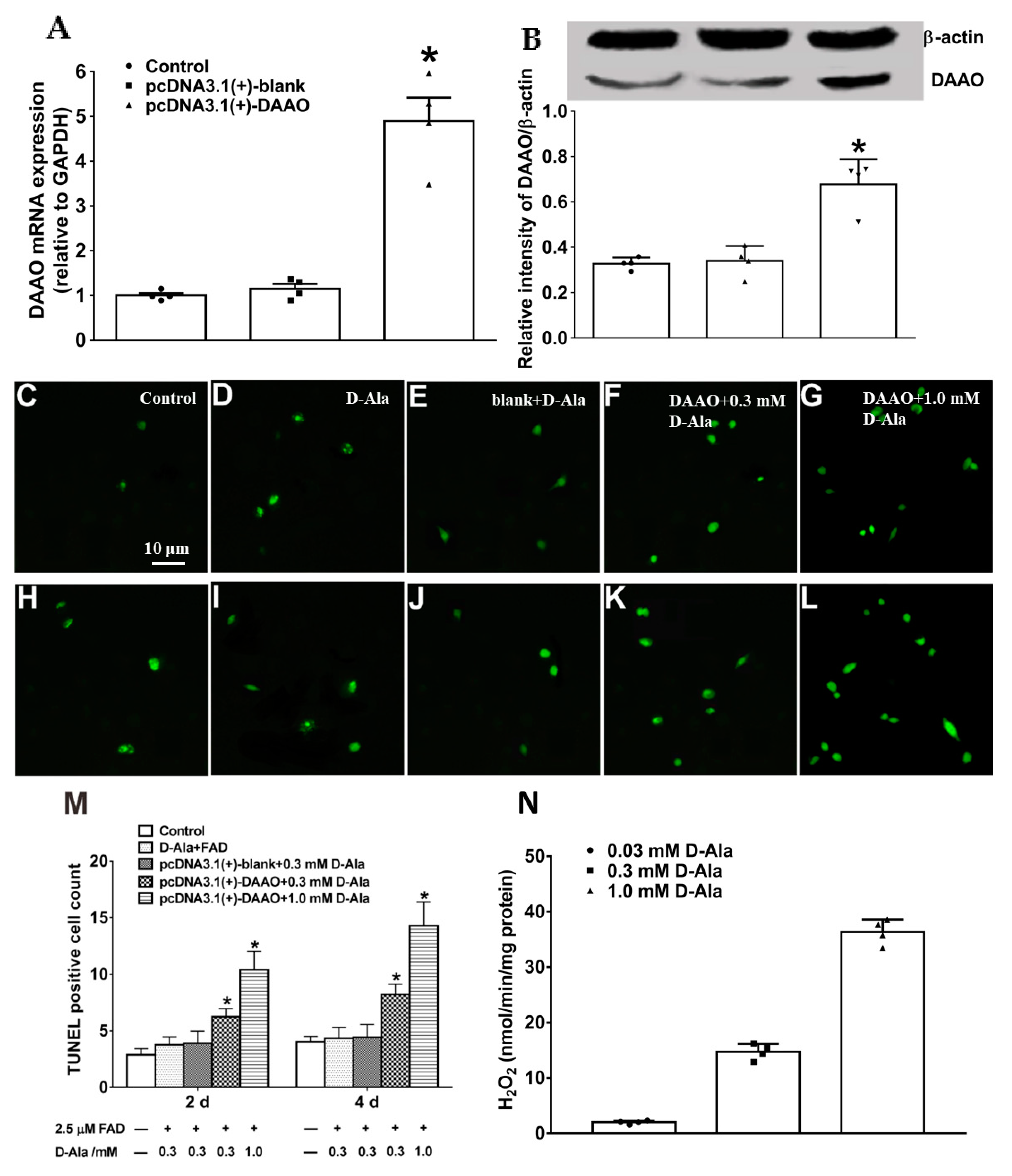 Cells 11 03689 g005 Cells 11 03689 g005