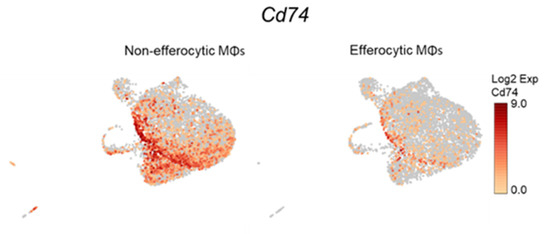 Cells 11 03712 g0a11
