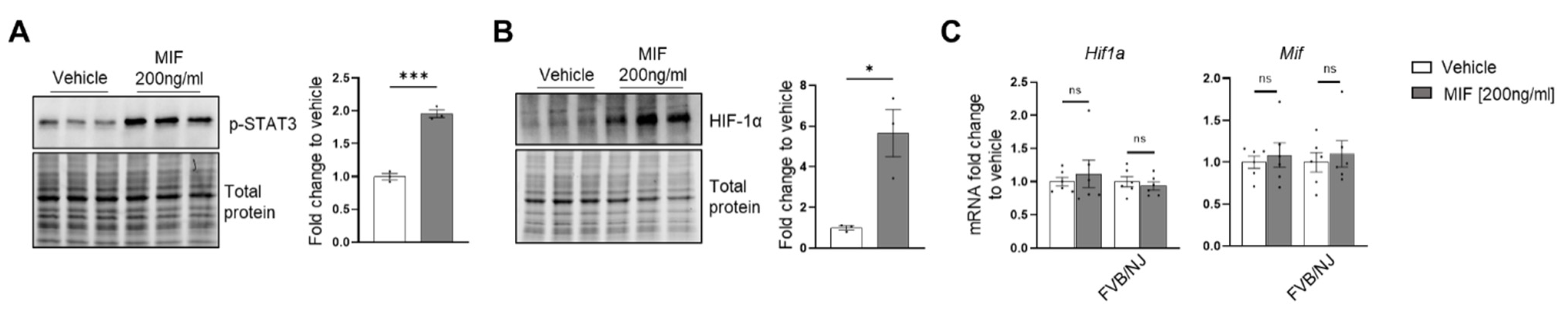 Cells 11 03712 g0a12