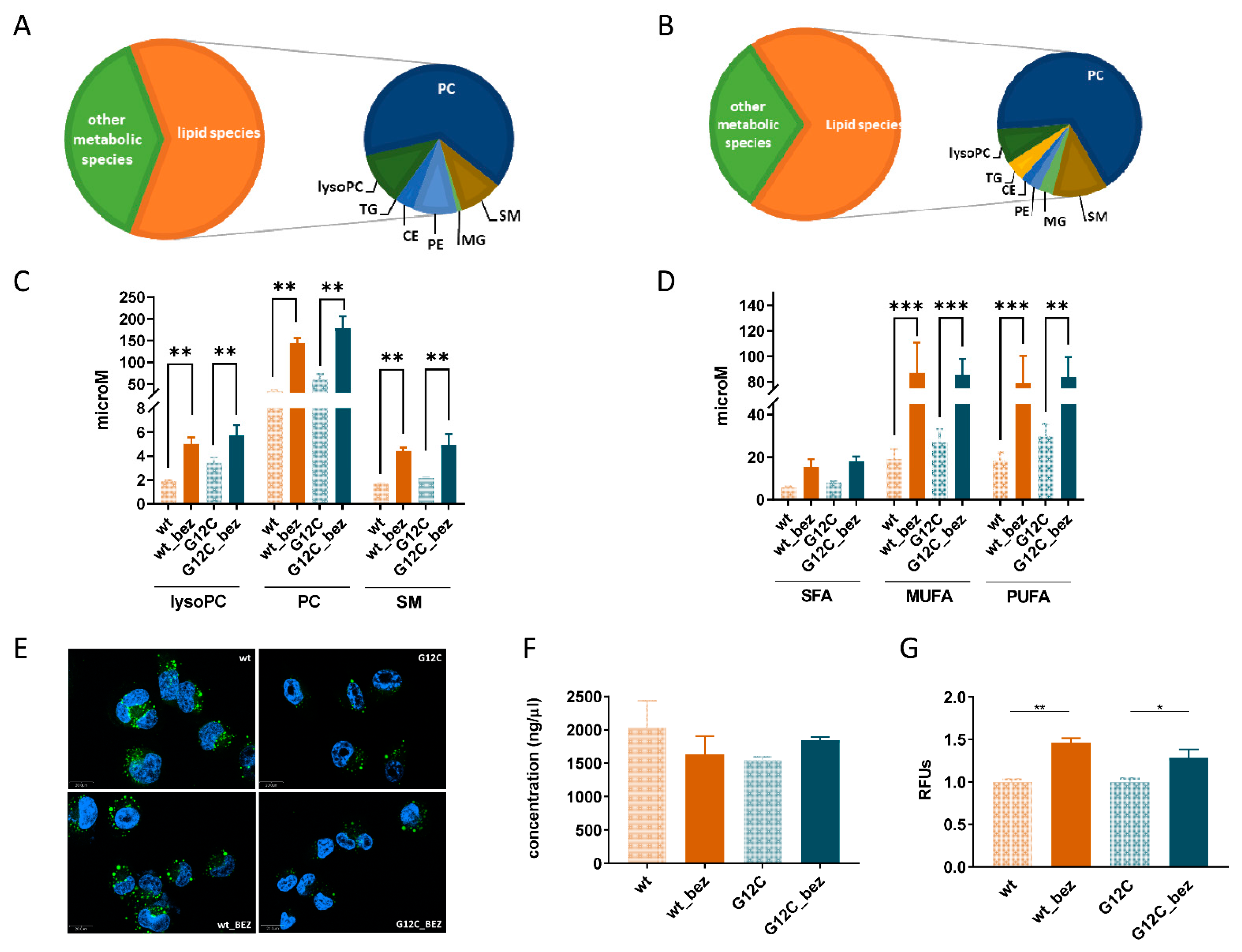 Cells 11 03719 g002 Cells 11 03719 g002
