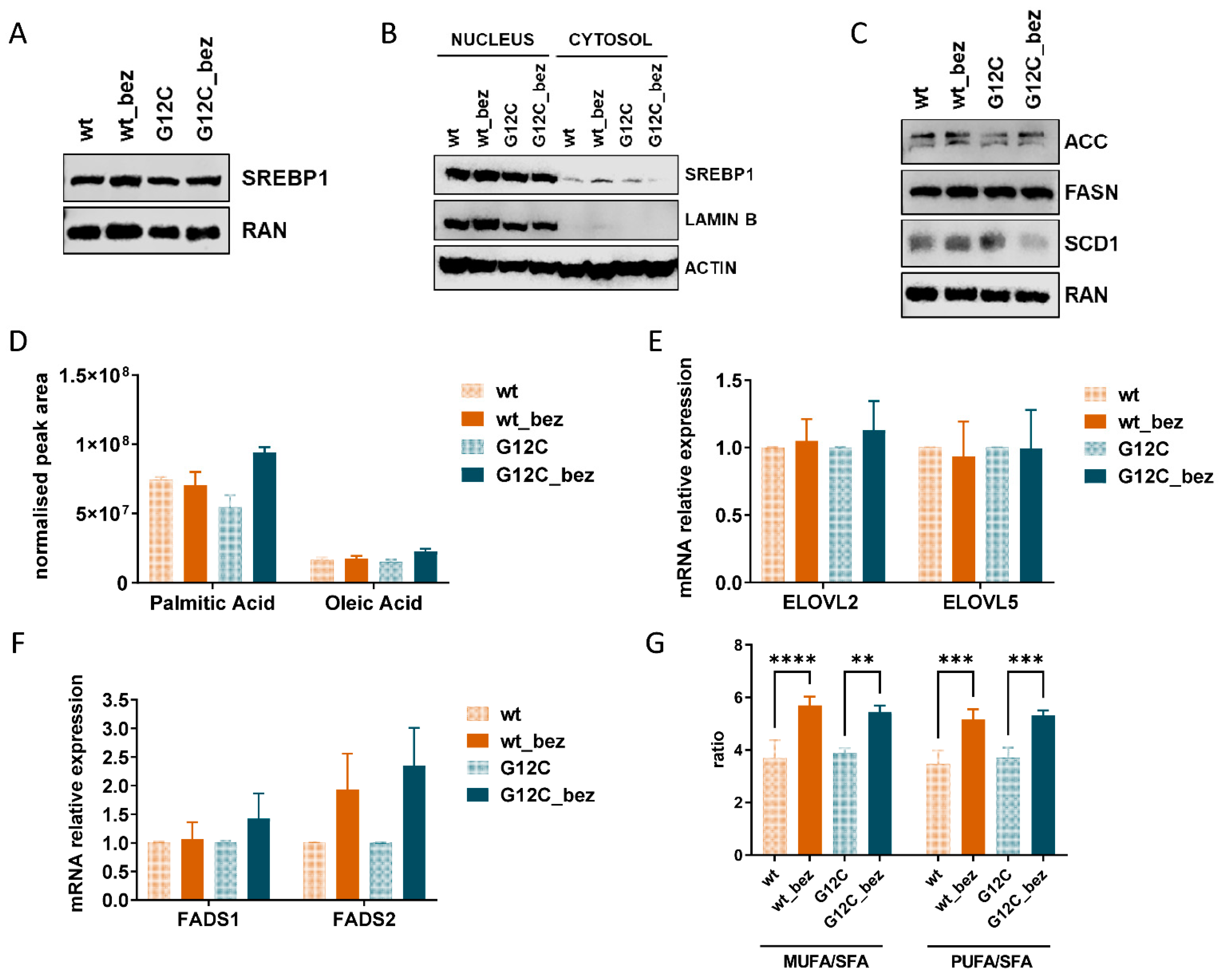 Cells 11 03719 g003 Cells 11 03719 g003