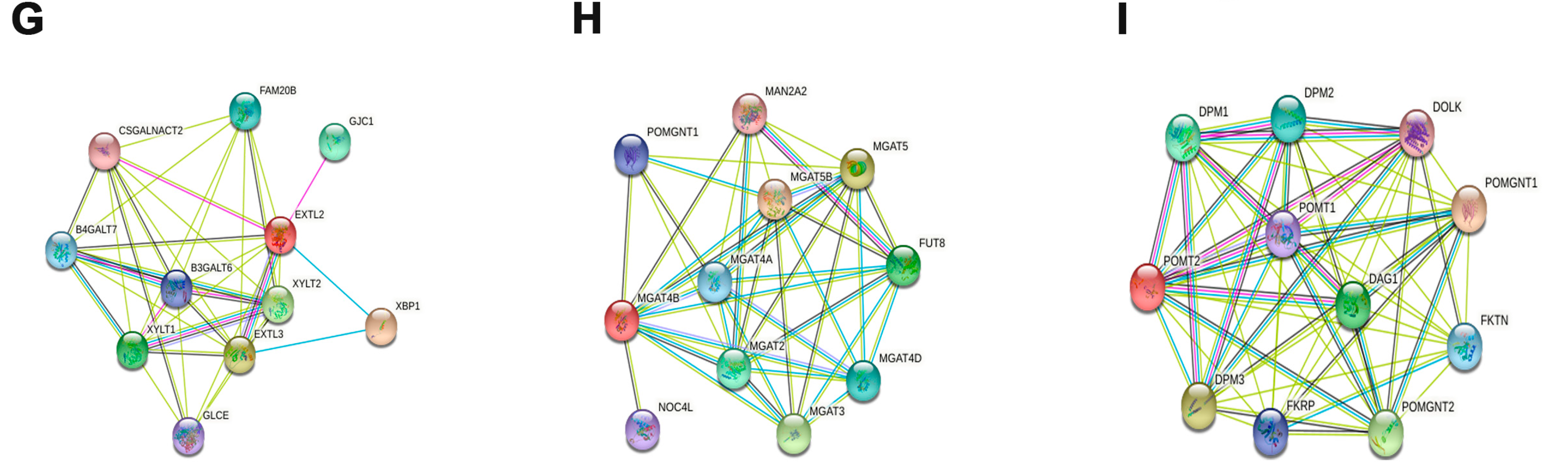 Cells 11 03728 g005b Cells 11 03728 g005b