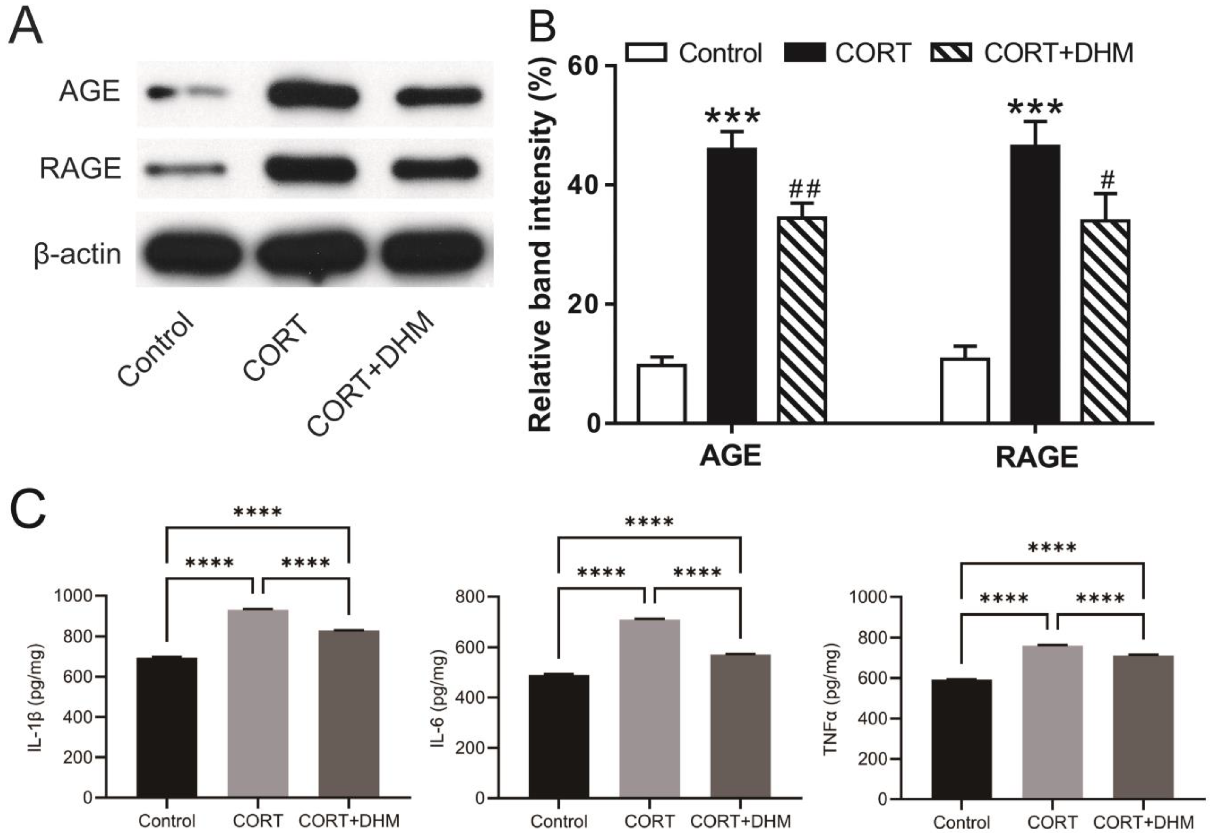 Cells 11 03730 g007 Cells 11 03730 g007