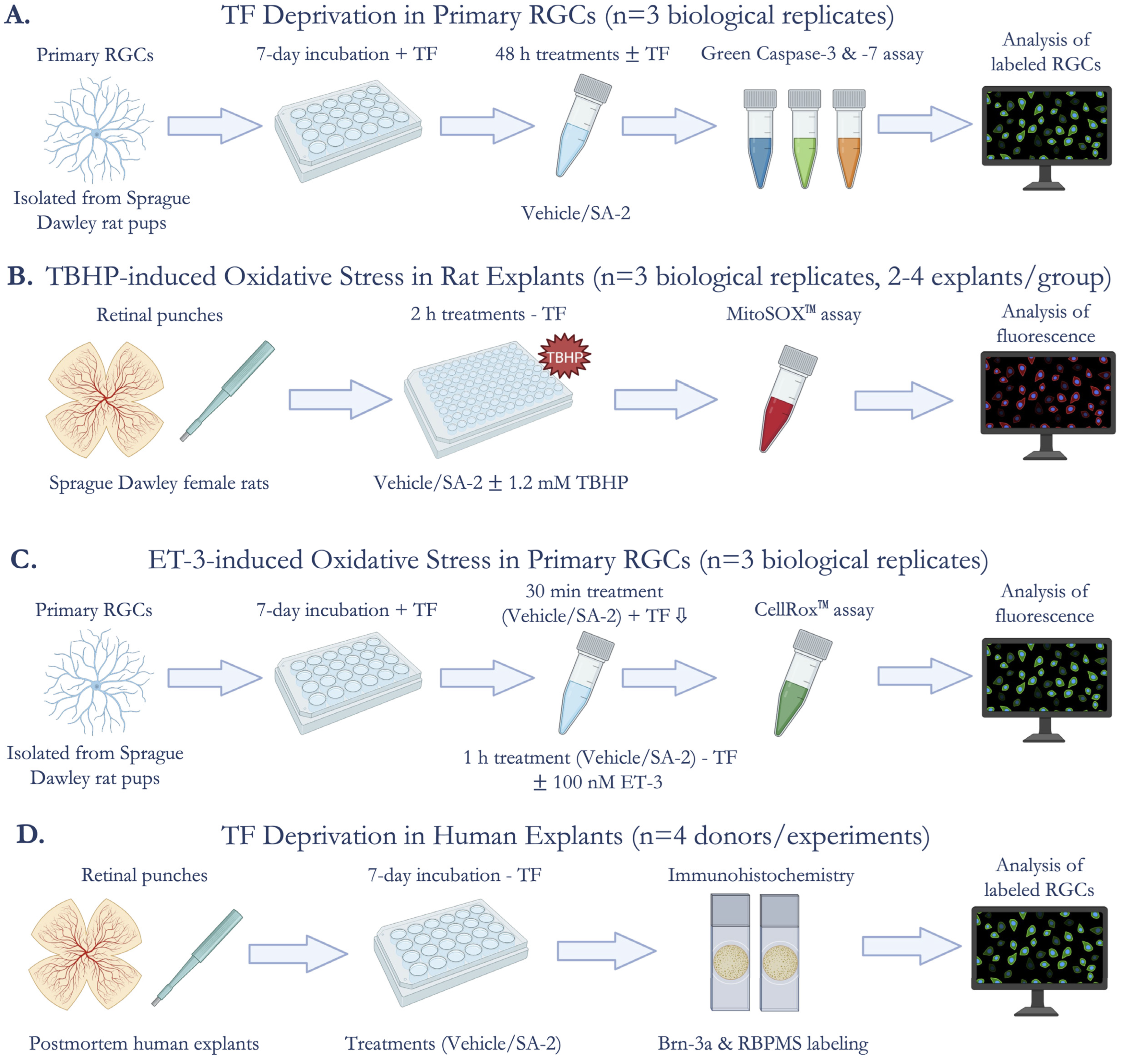 Cells 11 03741 g001 Cells 11 03741 g001