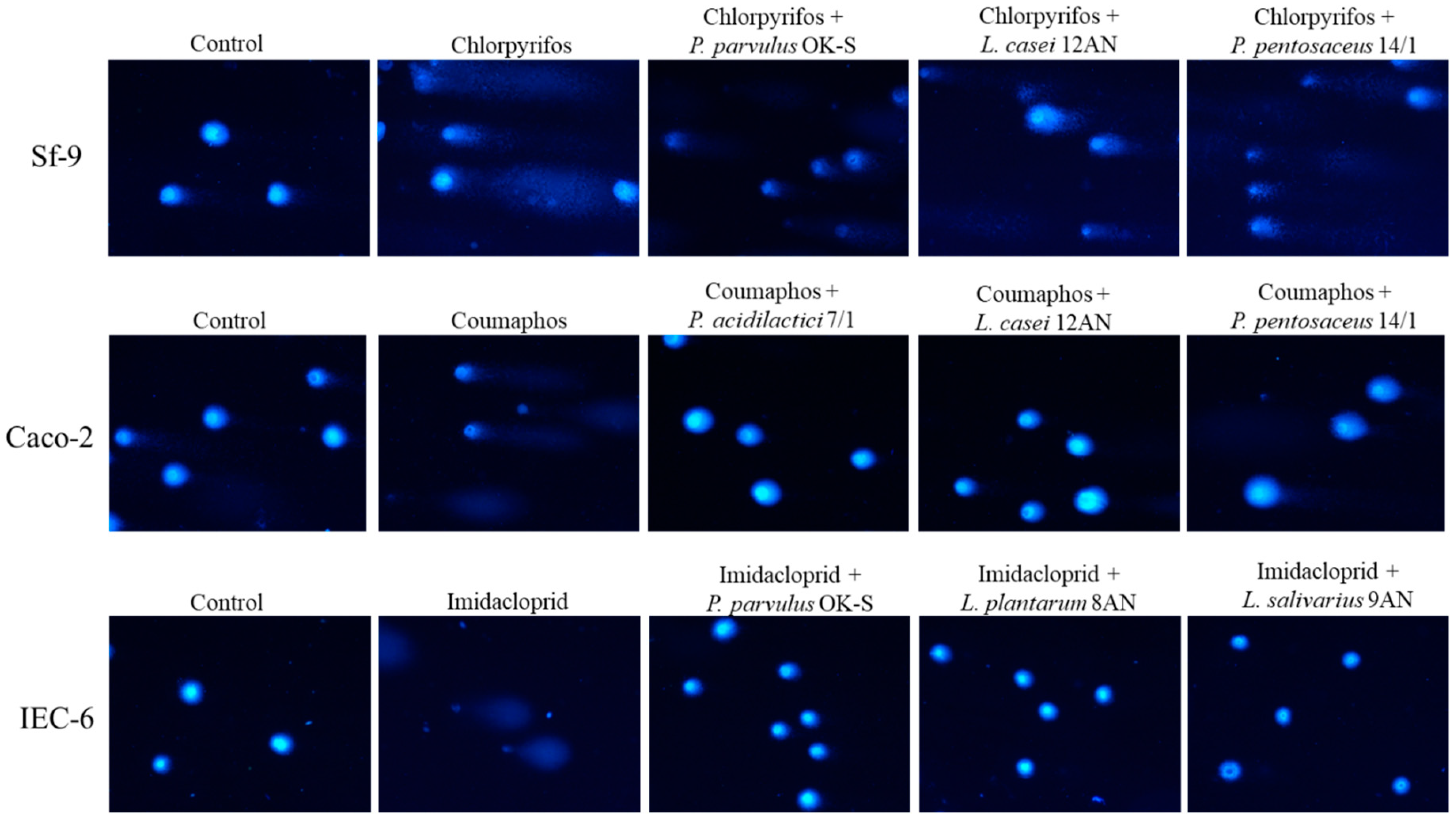 Cells 11 03743 g004 Cells 11 03743 g004