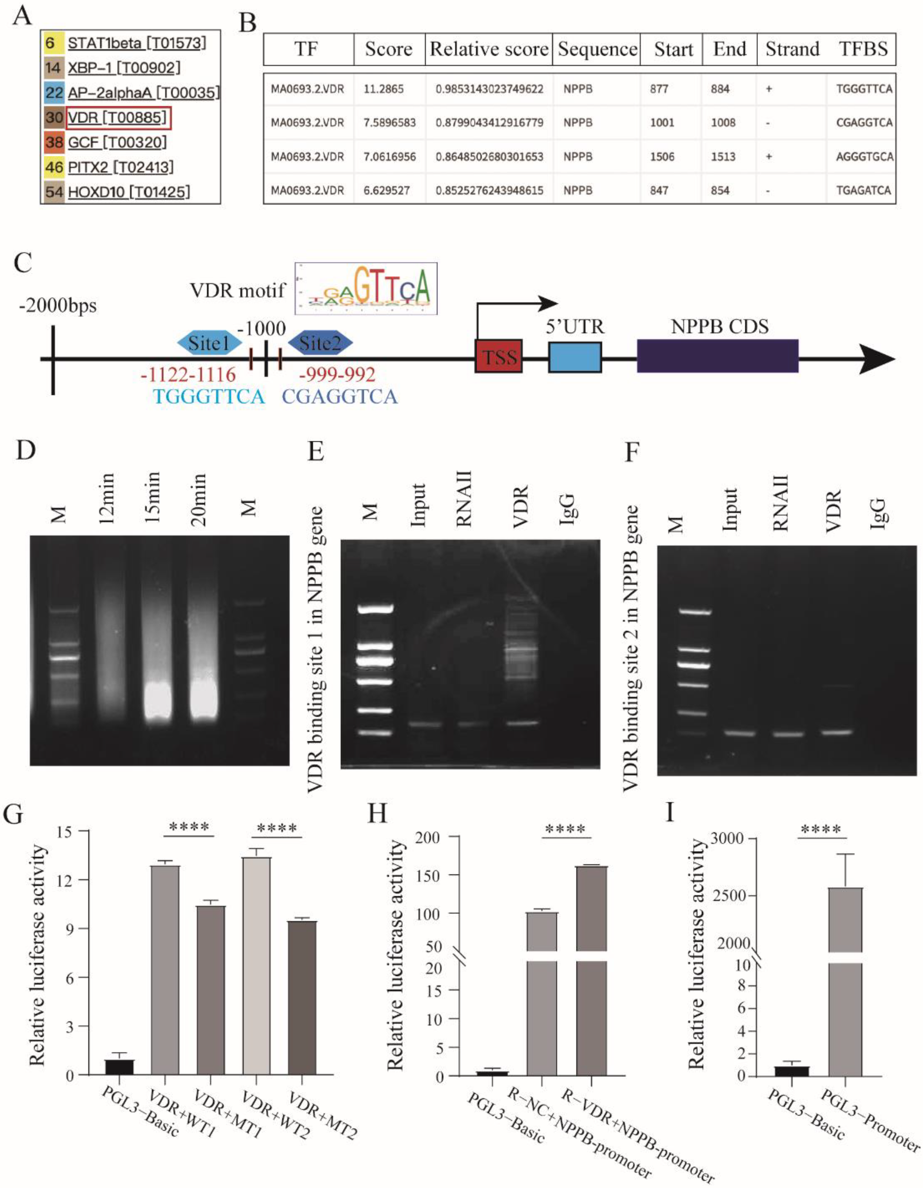 Cells 11 03746 g006 Cells 11 03746 g006