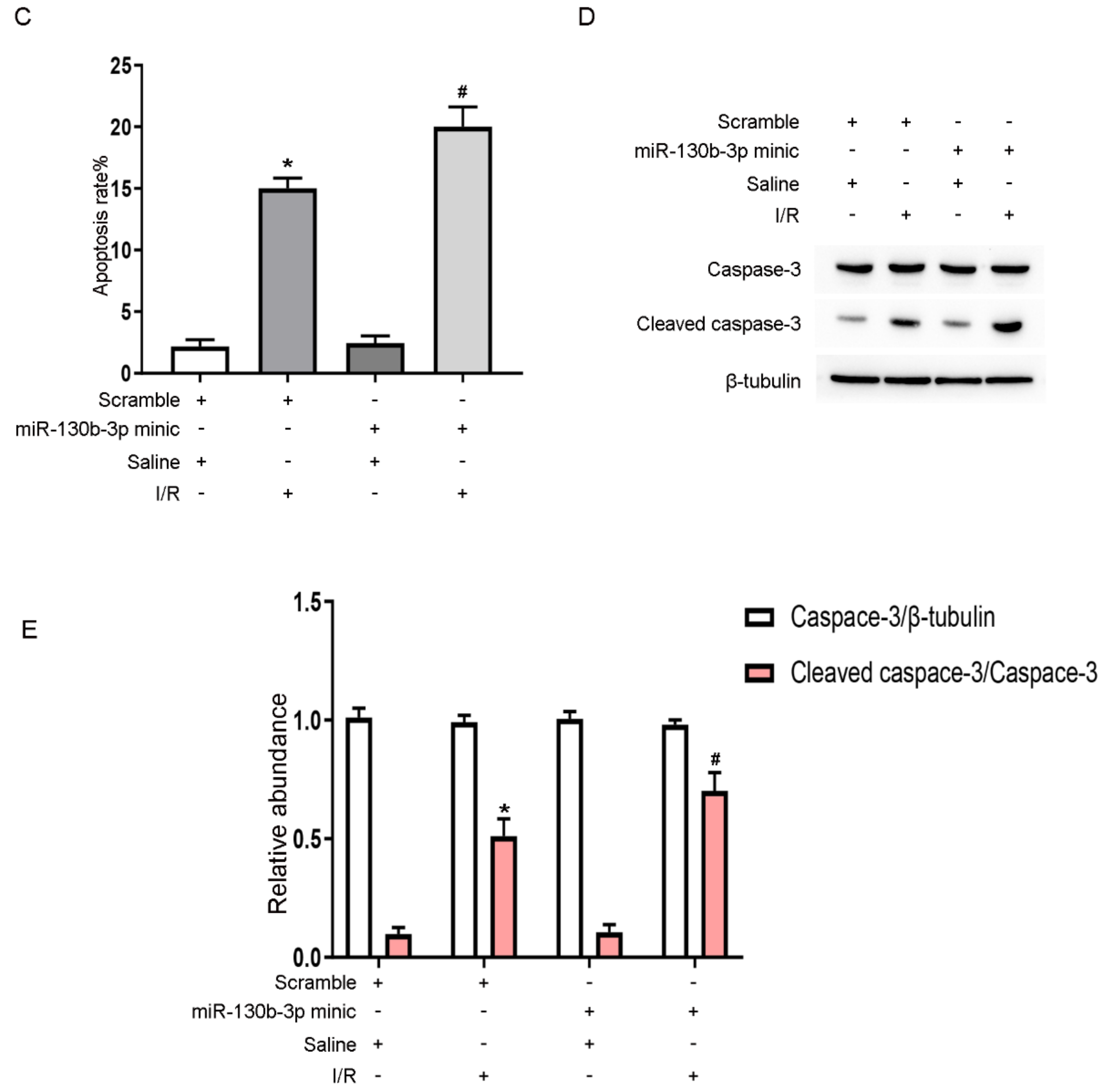 Cells 11 03747 g006b
