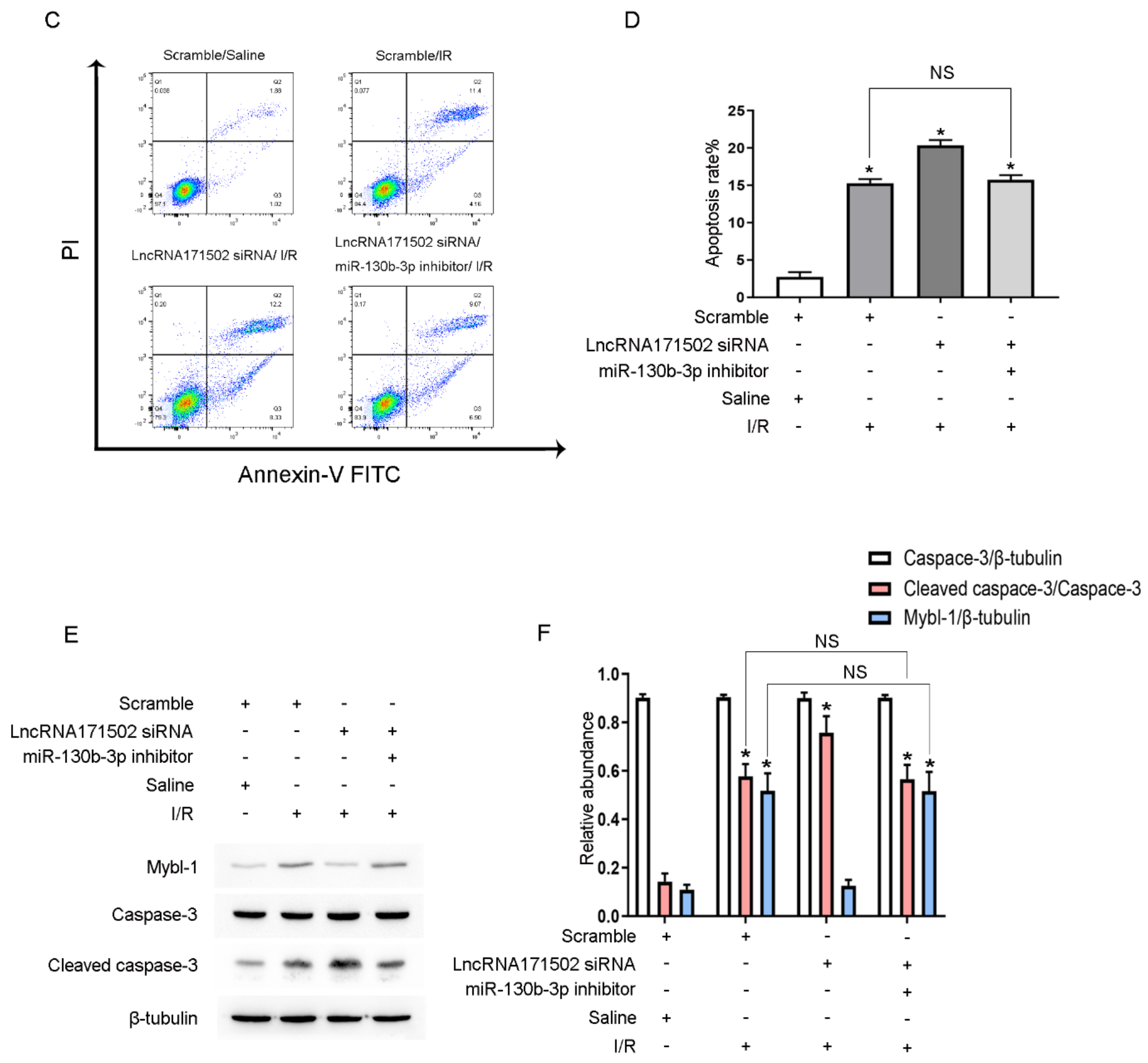 Cells 11 03747 g008b
