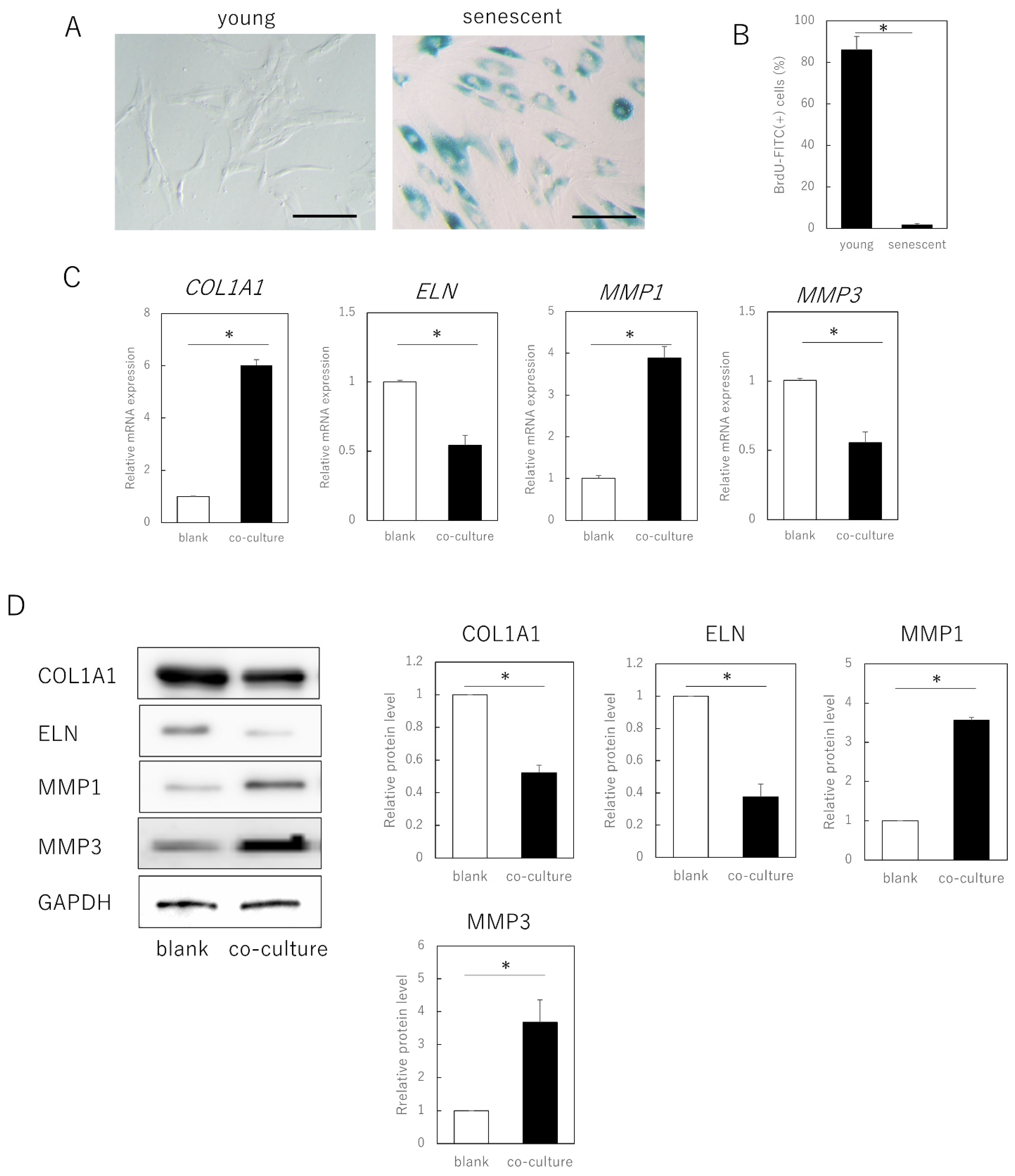 Cells 11 03749 g001 Cells 11 03749 g001