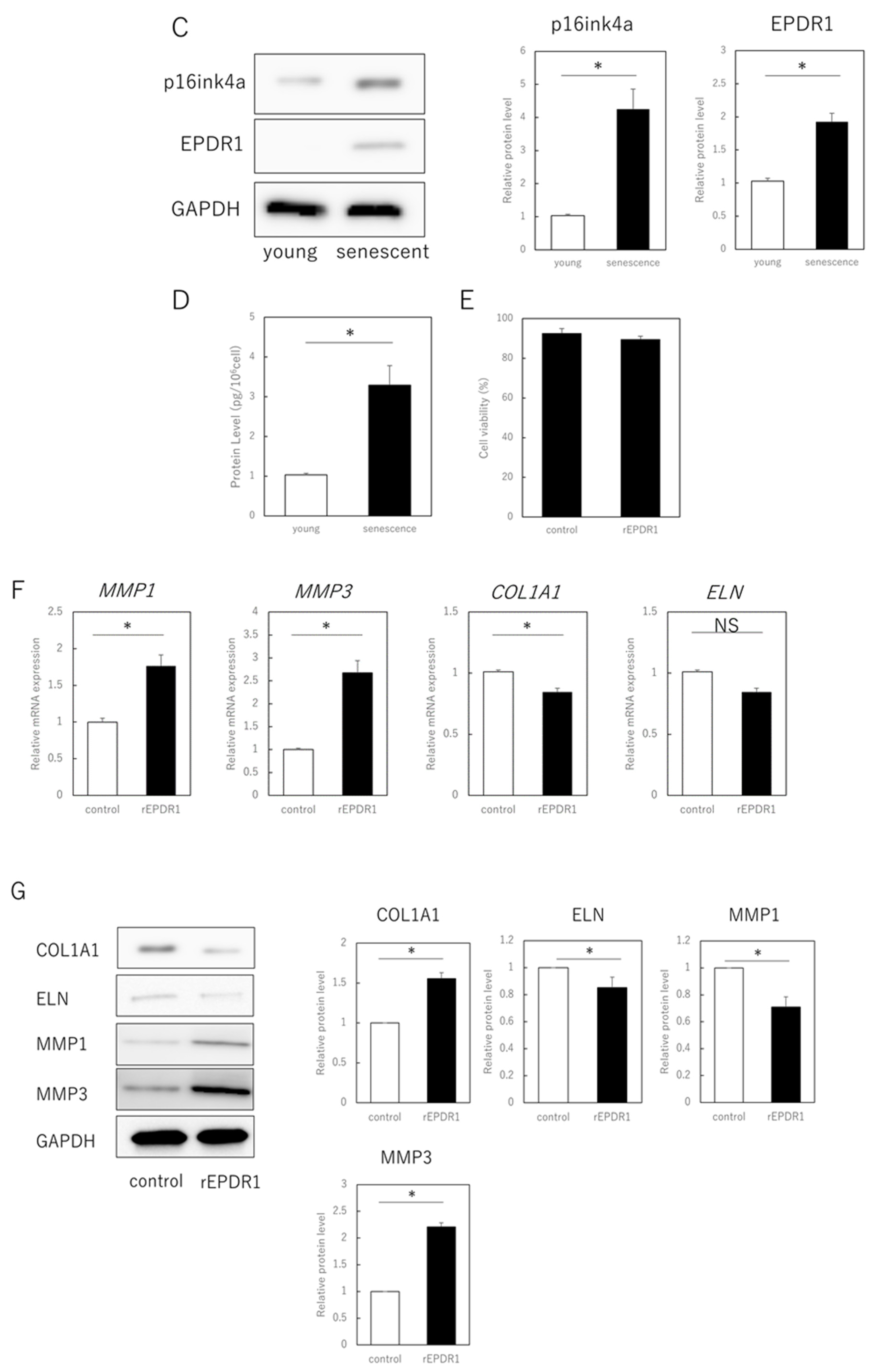 Cells 11 03749 g002b Cells 11 03749 g002b