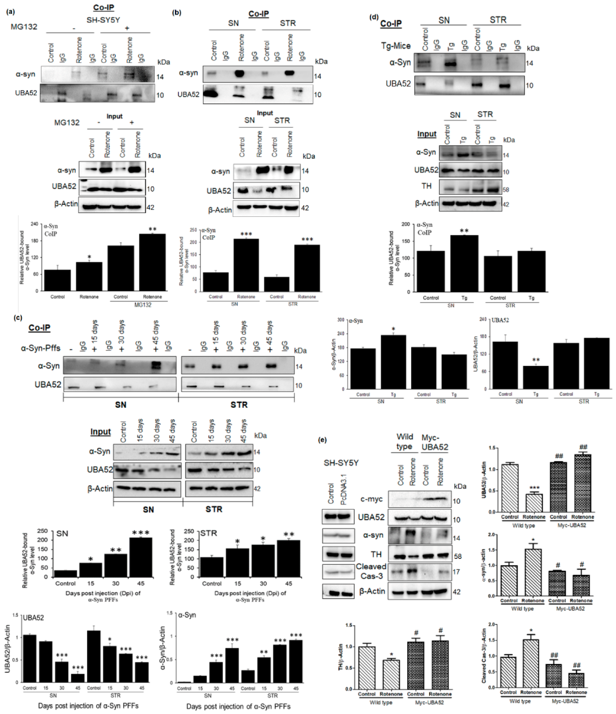 Cells 11 03770 g002