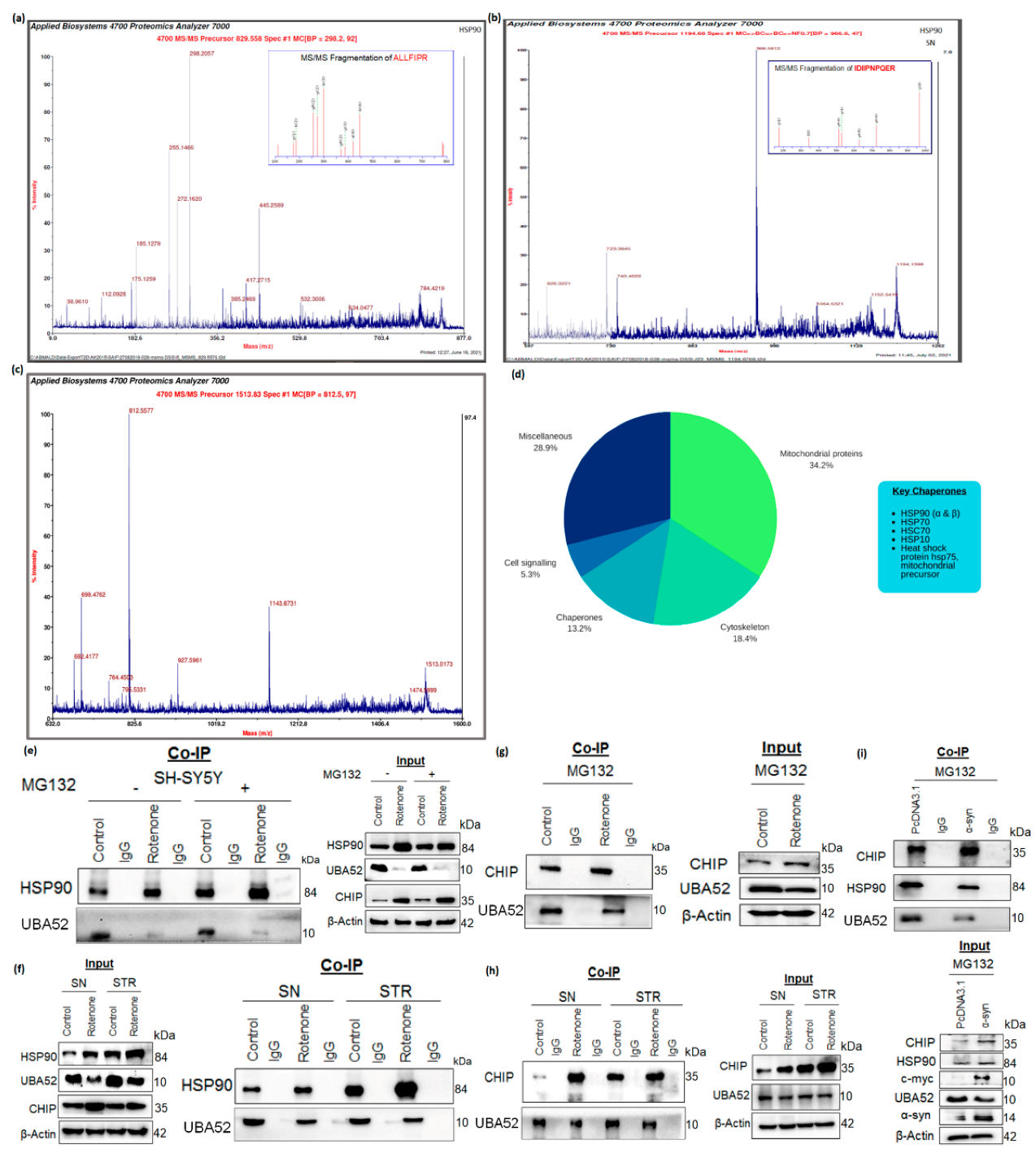 Cells 11 03770 g005