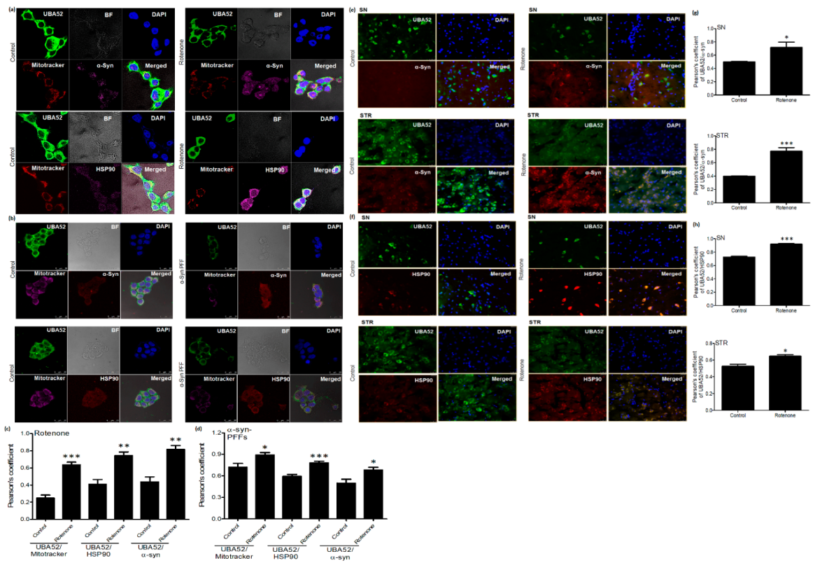 Cells 11 03770 g006