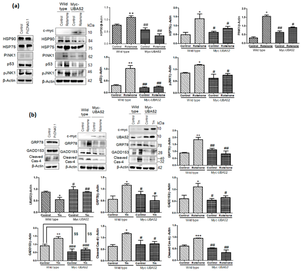 Cells 11 03770 g008