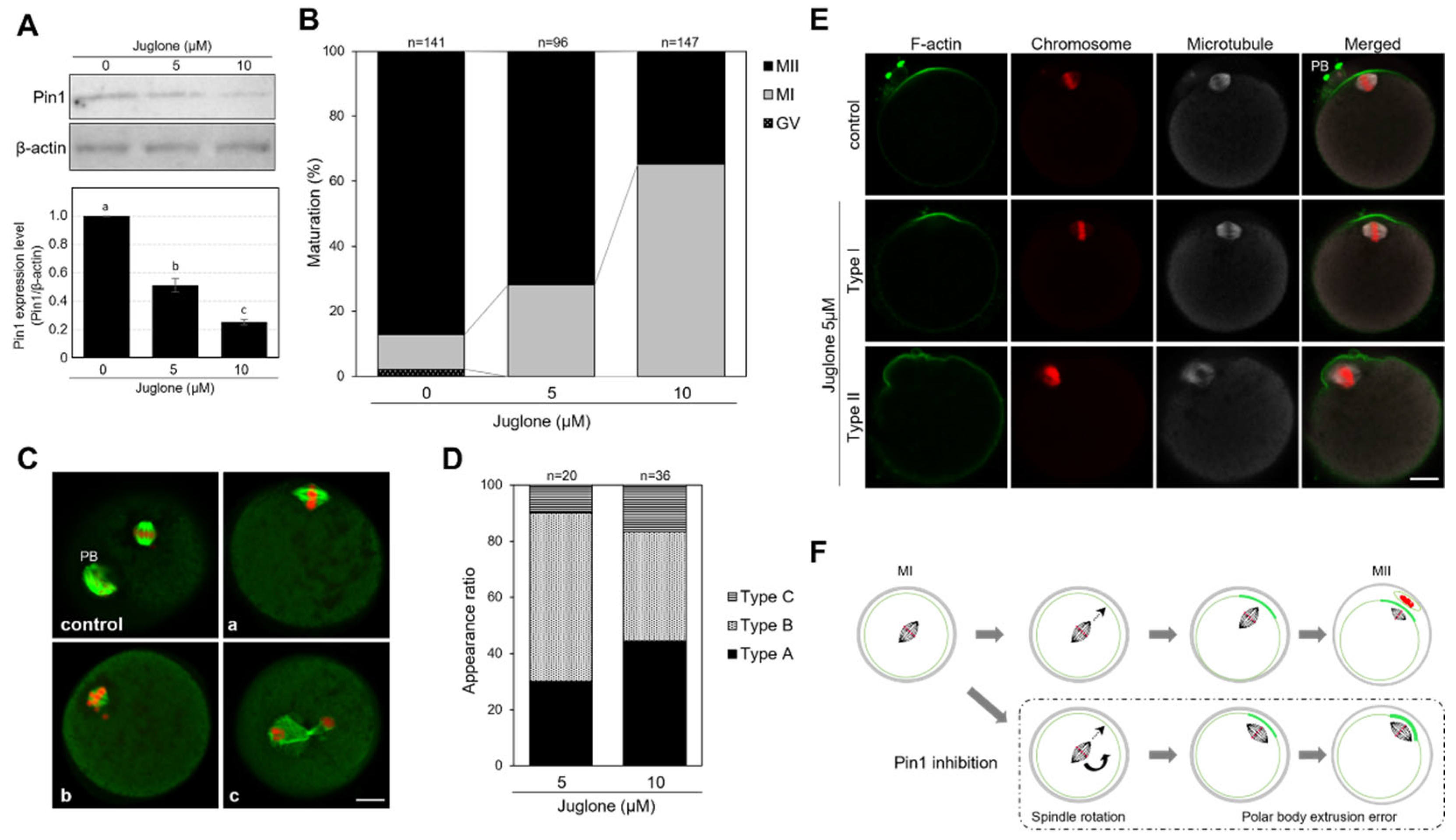 Cells 11 03772 g003 Cells 11 03772 g003