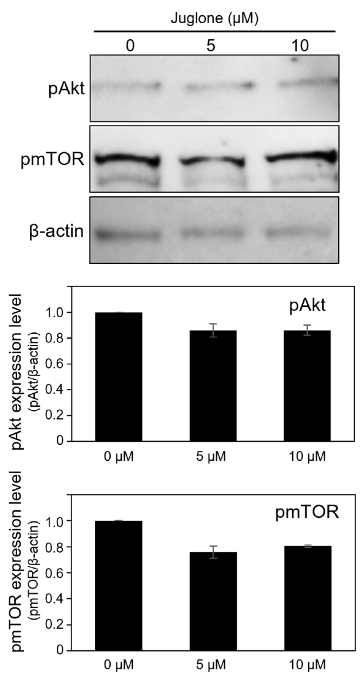 Cells 11 03772 g006 Cells 11 03772 g006