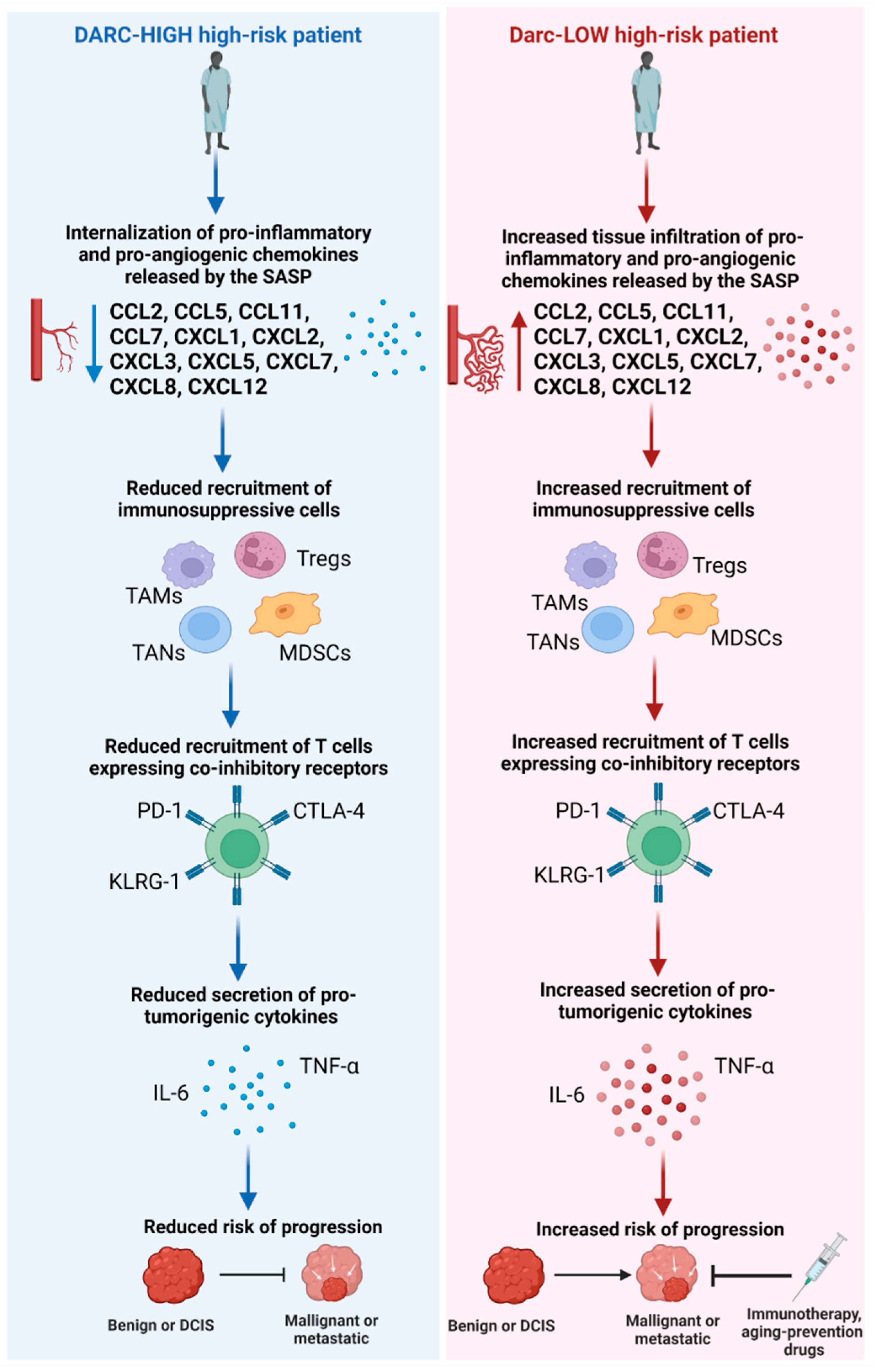 Cells 11 03818 g001