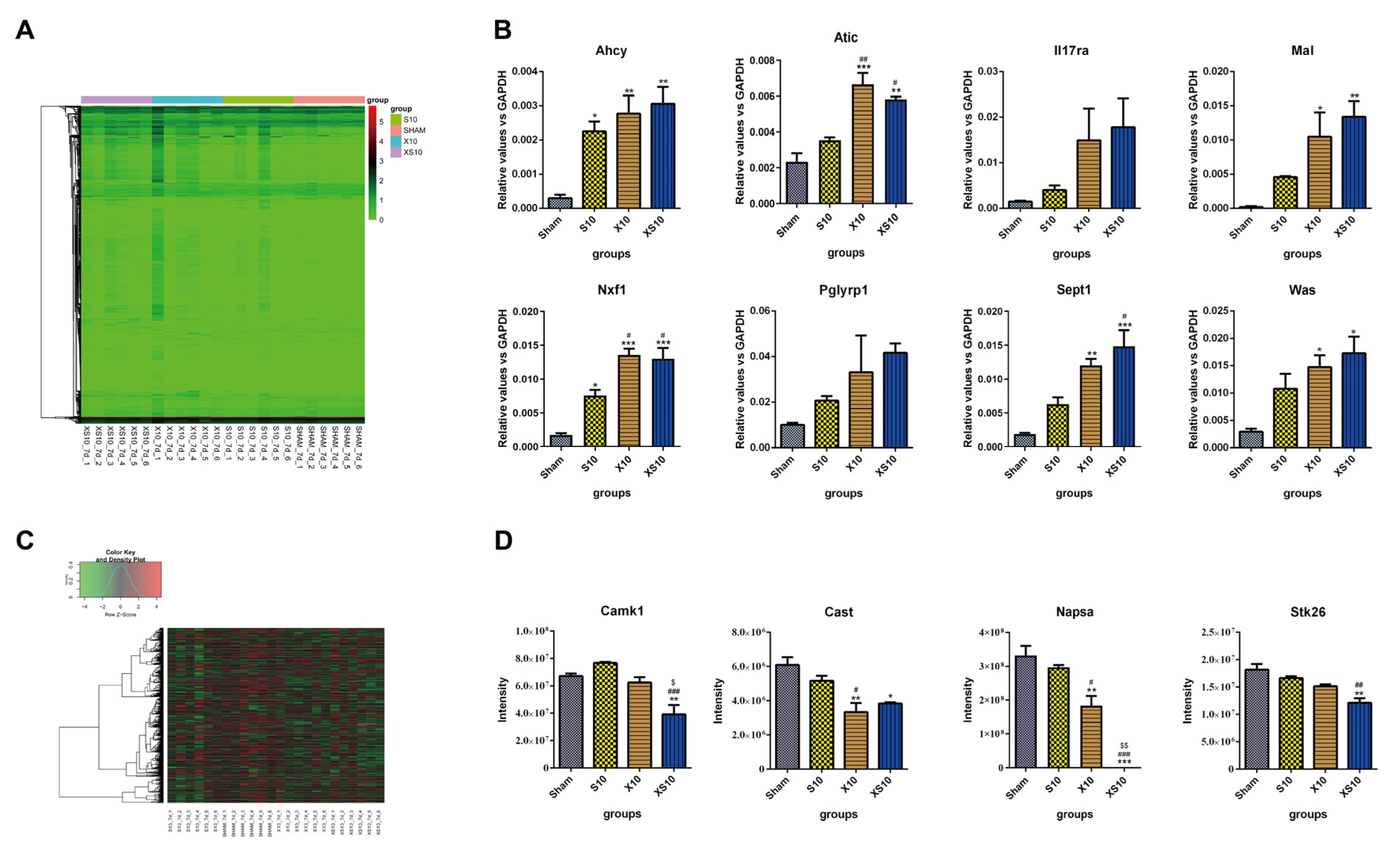 Cells 11 03849 g004 Cells 11 03849 g004