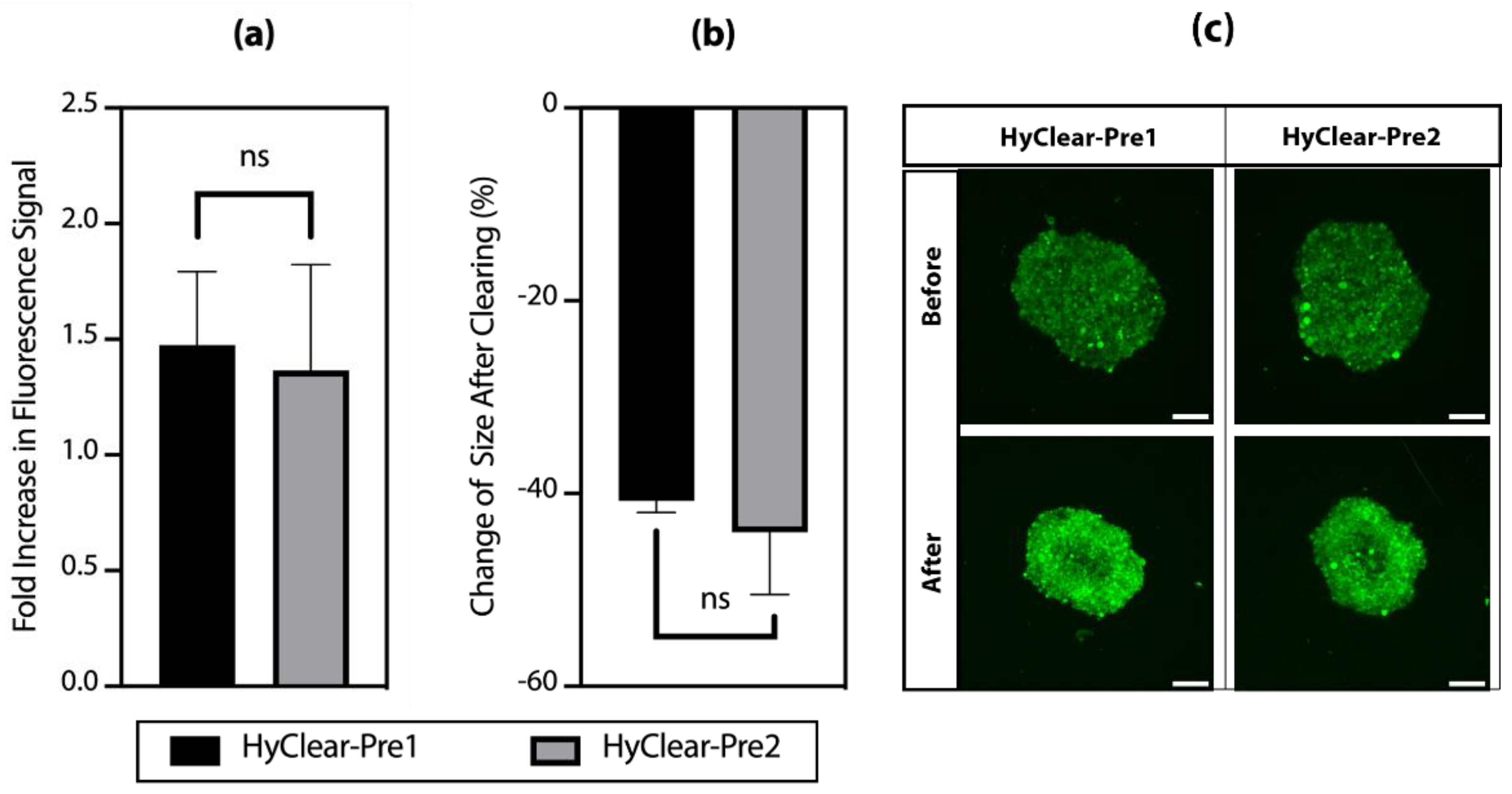 Cells 11 03854 g004 Cells 11 03854 g004