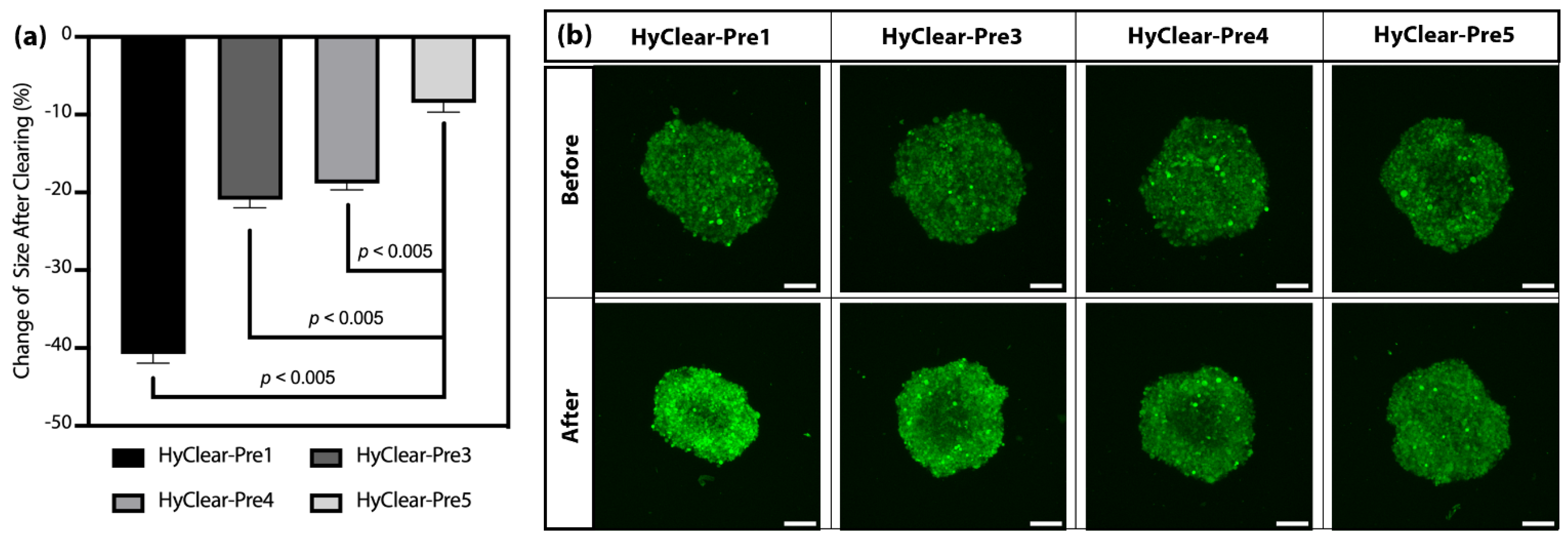 Cells 11 03854 g005 Cells 11 03854 g005