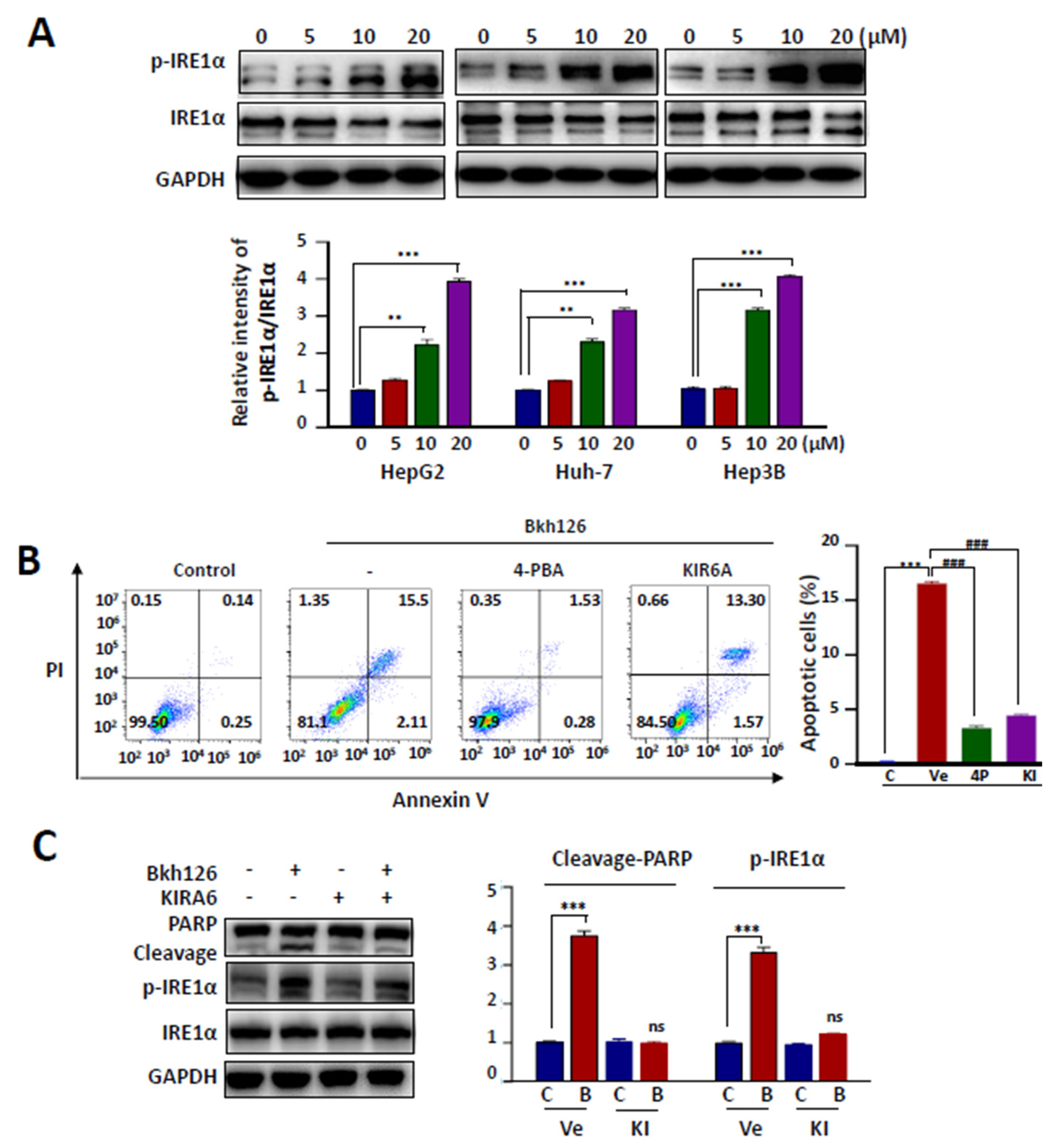Cells 11 03870 g002 Cells 11 03870 g002