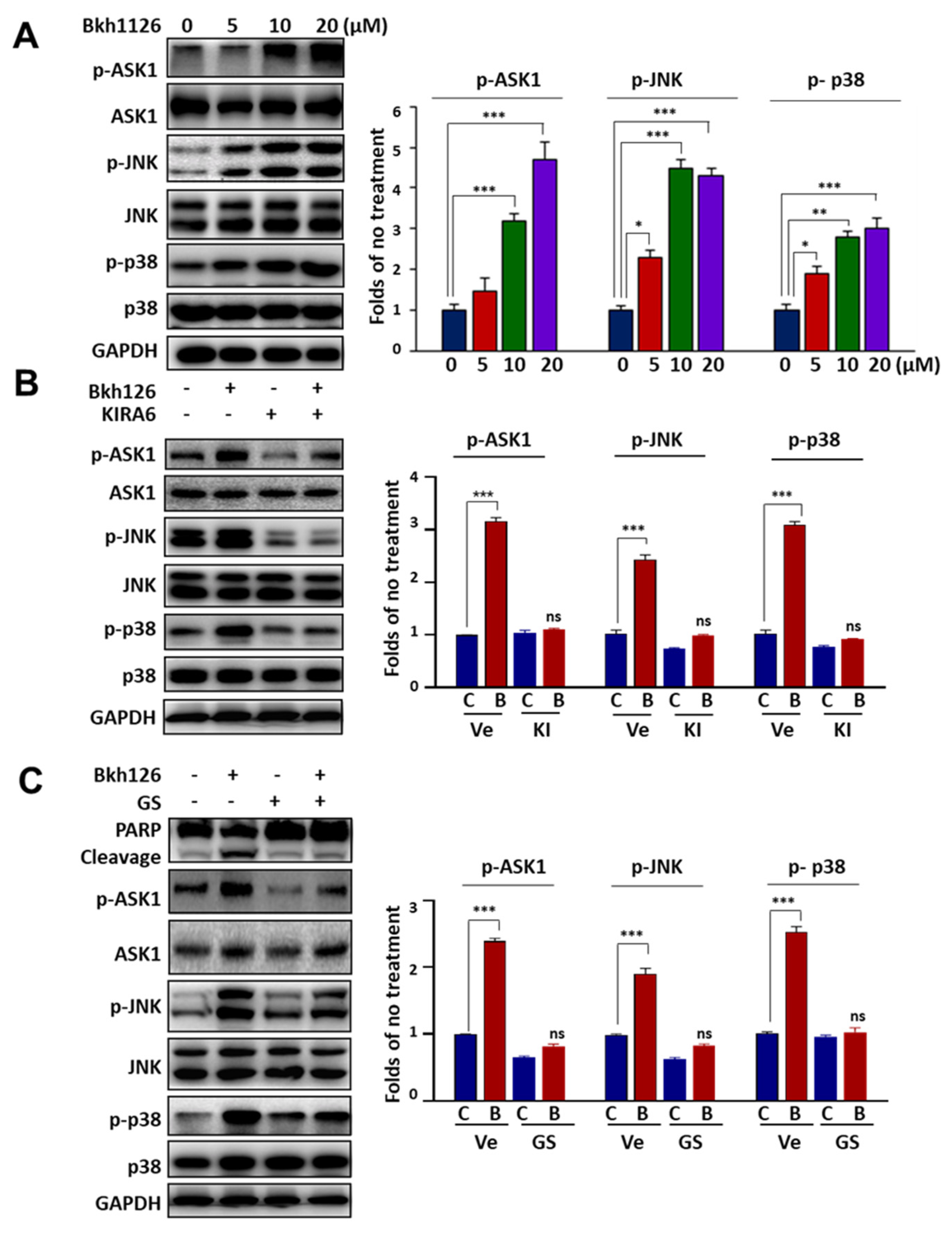 Cells 11 03870 g003 Cells 11 03870 g003