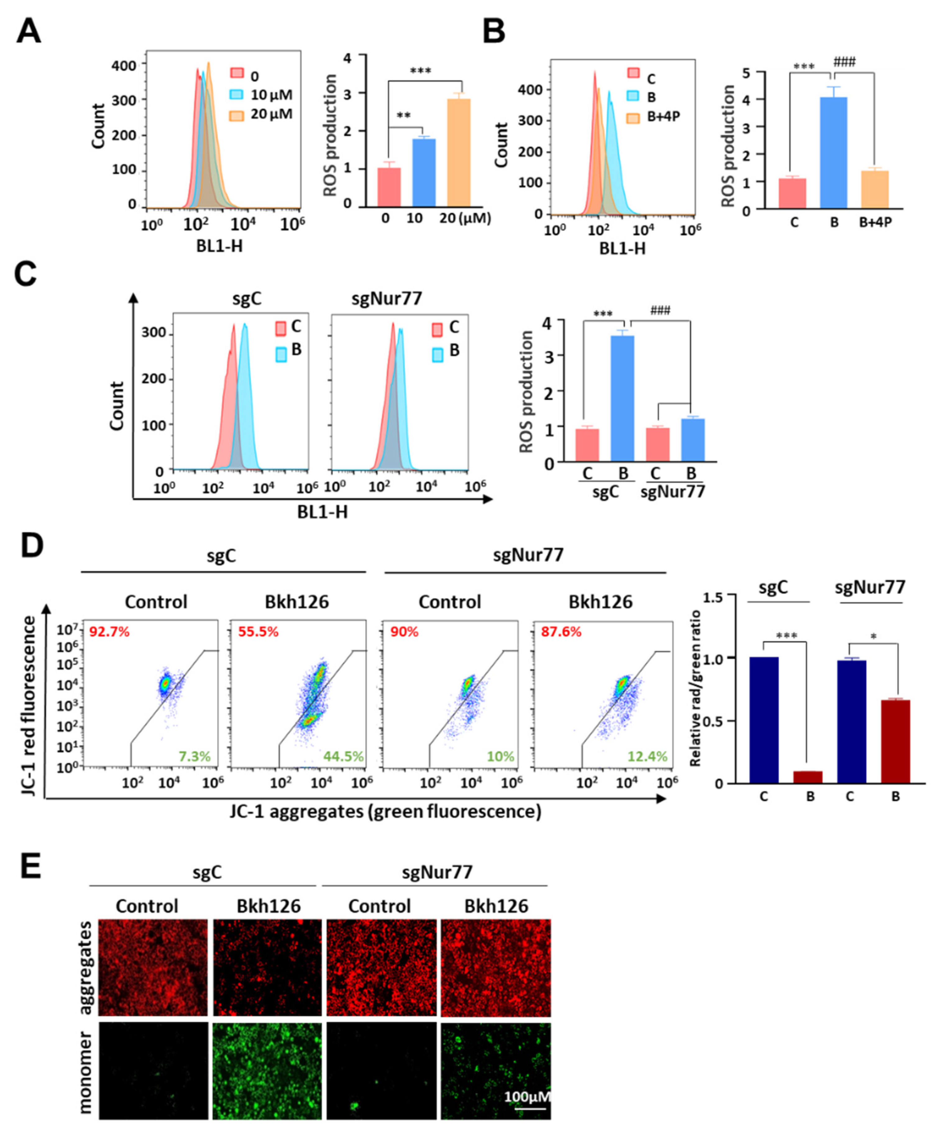 Cells 11 03870 g004 Cells 11 03870 g004
