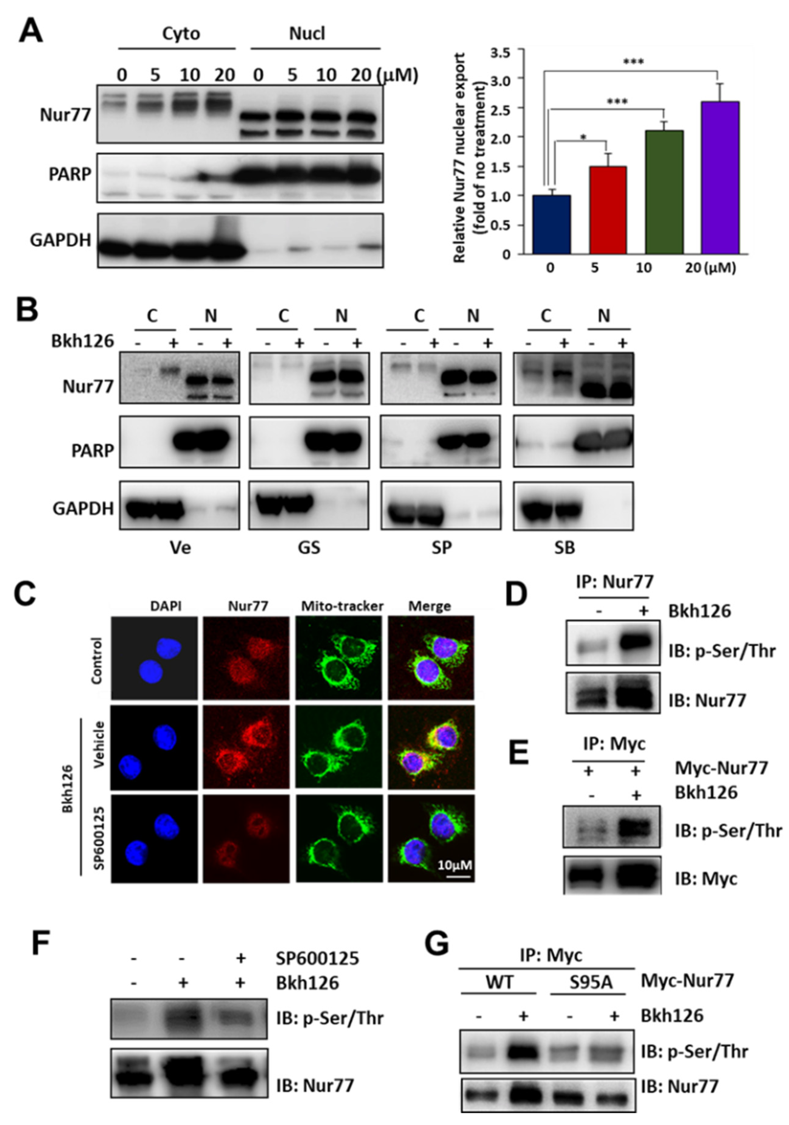 Cells 11 03870 g005 Cells 11 03870 g005