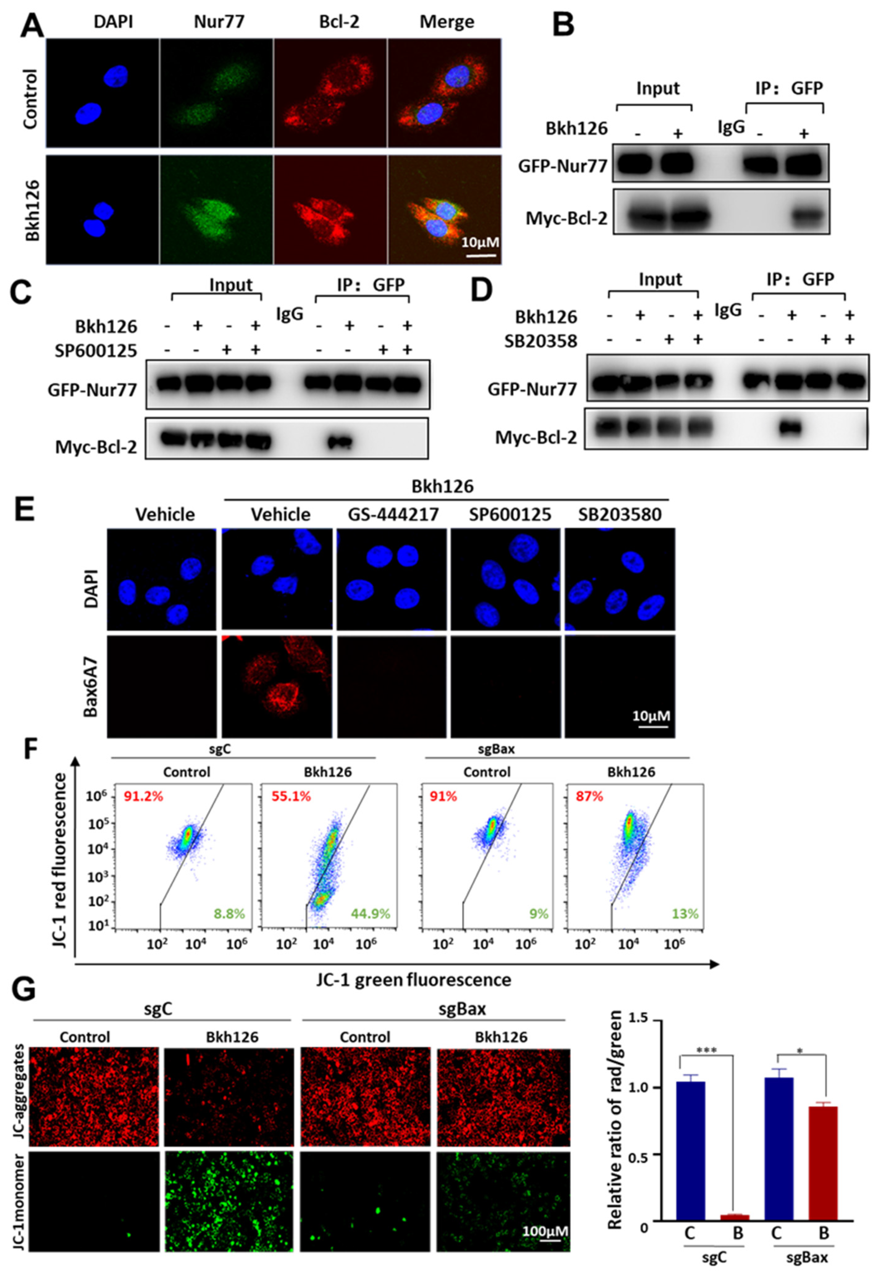 Cells 11 03870 g006 Cells 11 03870 g006