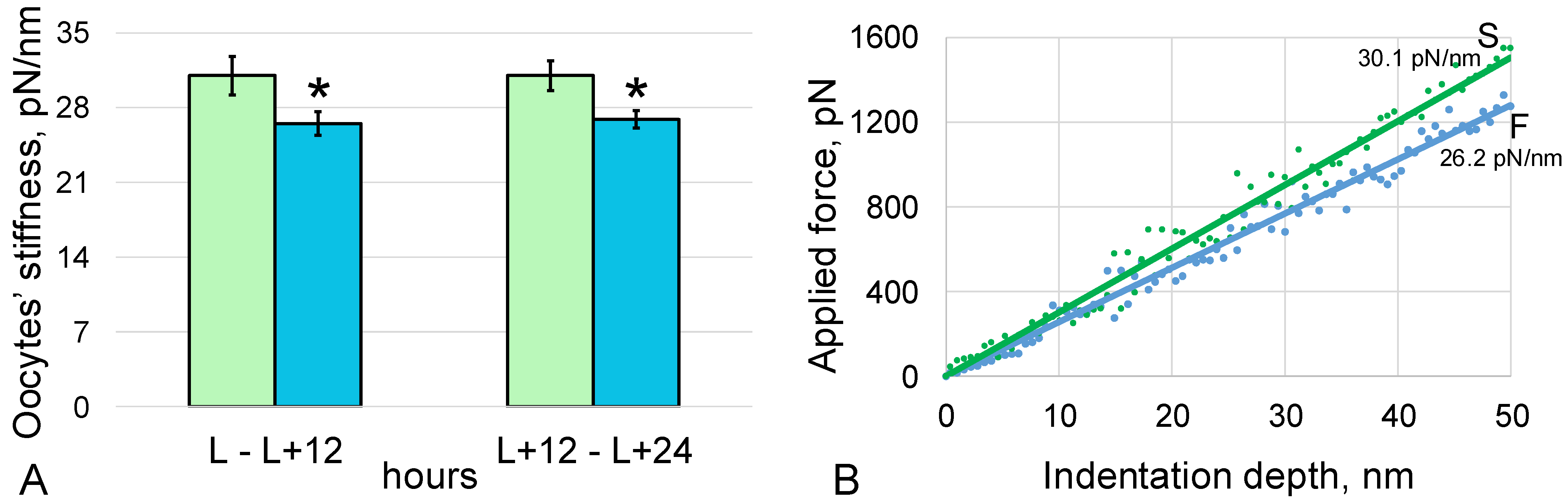 Cells 11 03871 g001 Cells 11 03871 g001