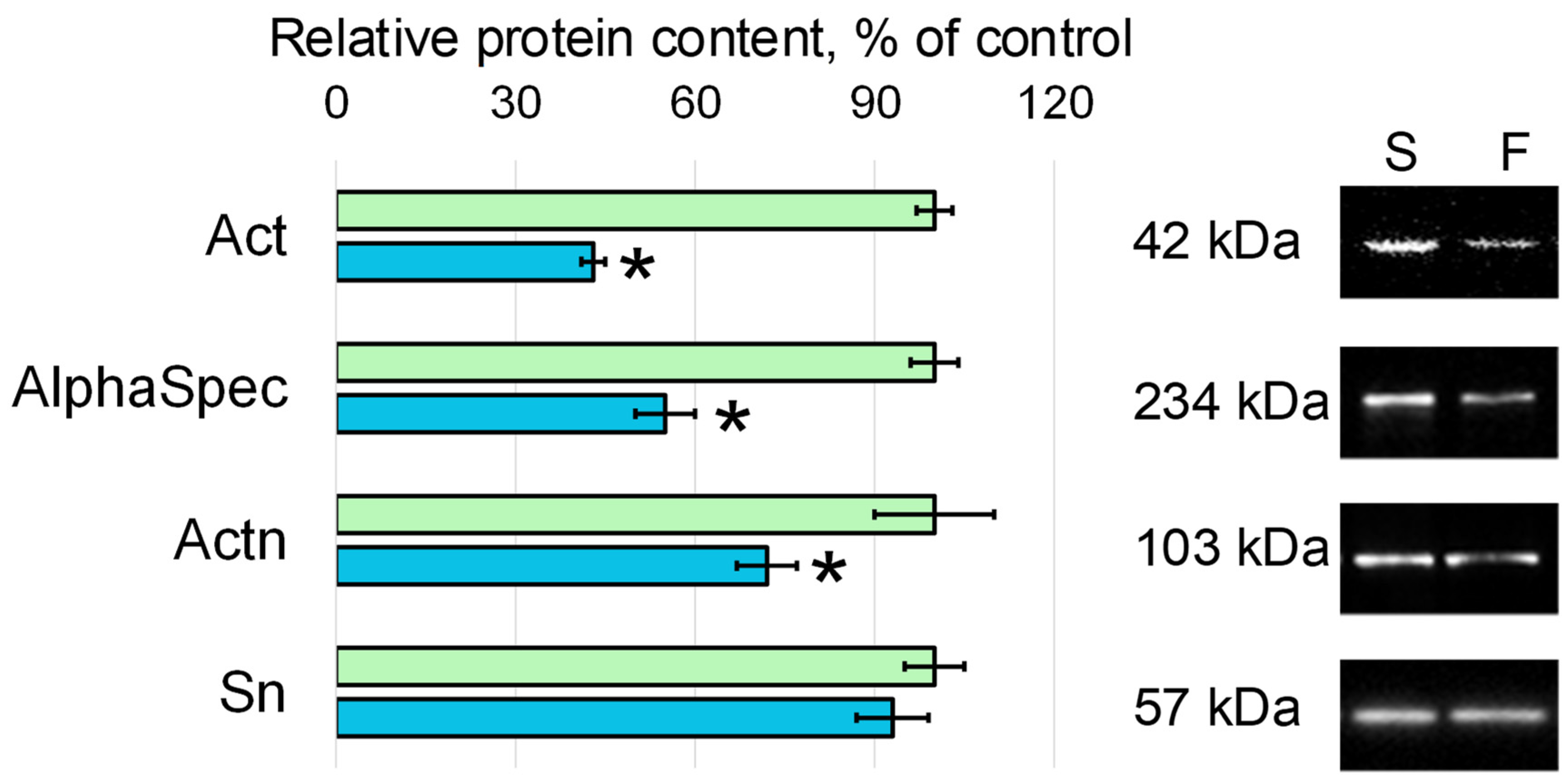Cells 11 03871 g002 Cells 11 03871 g002