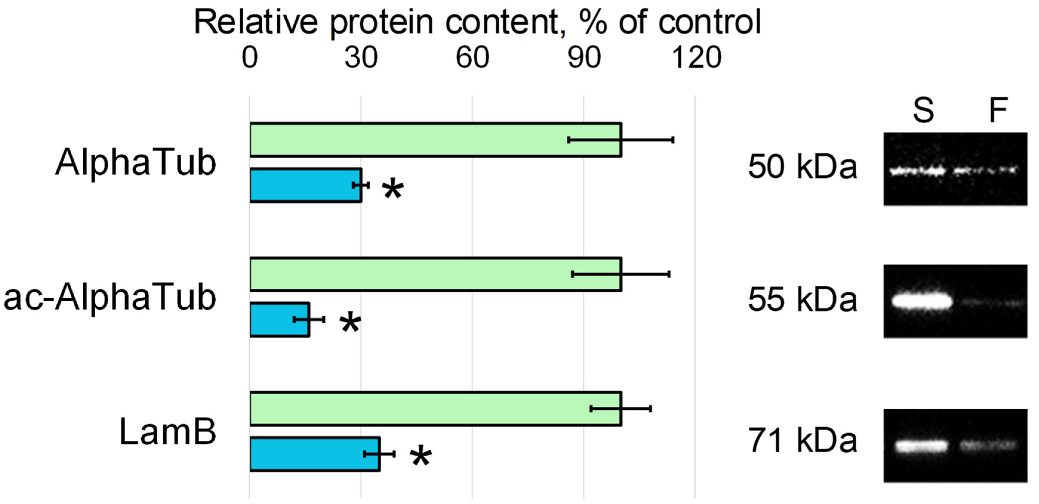 Cells 11 03871 g003 Cells 11 03871 g003