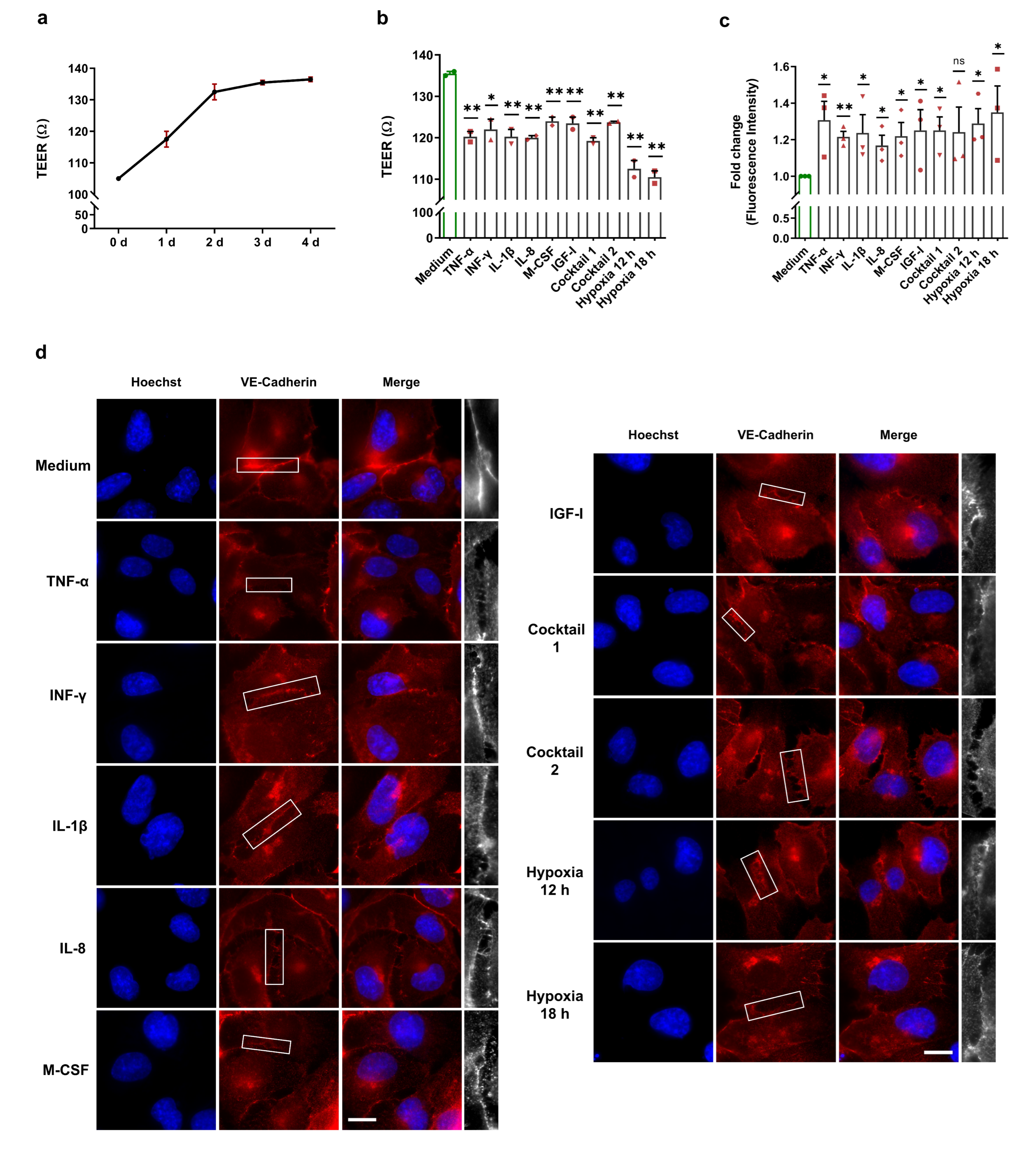 Cells 11 03878 g005a