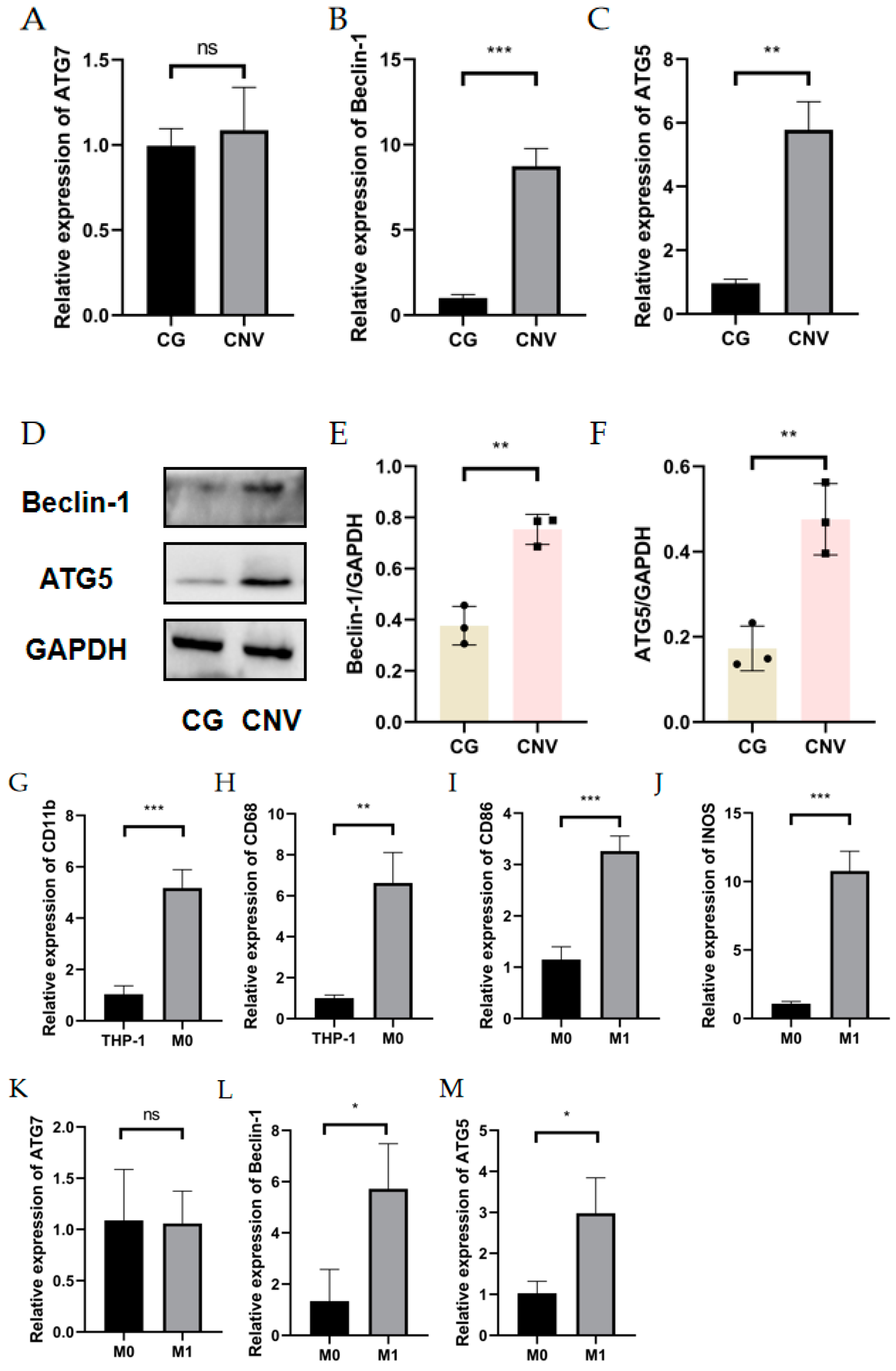 Cells 11 03895 g002a Cells 11 03895 g002a