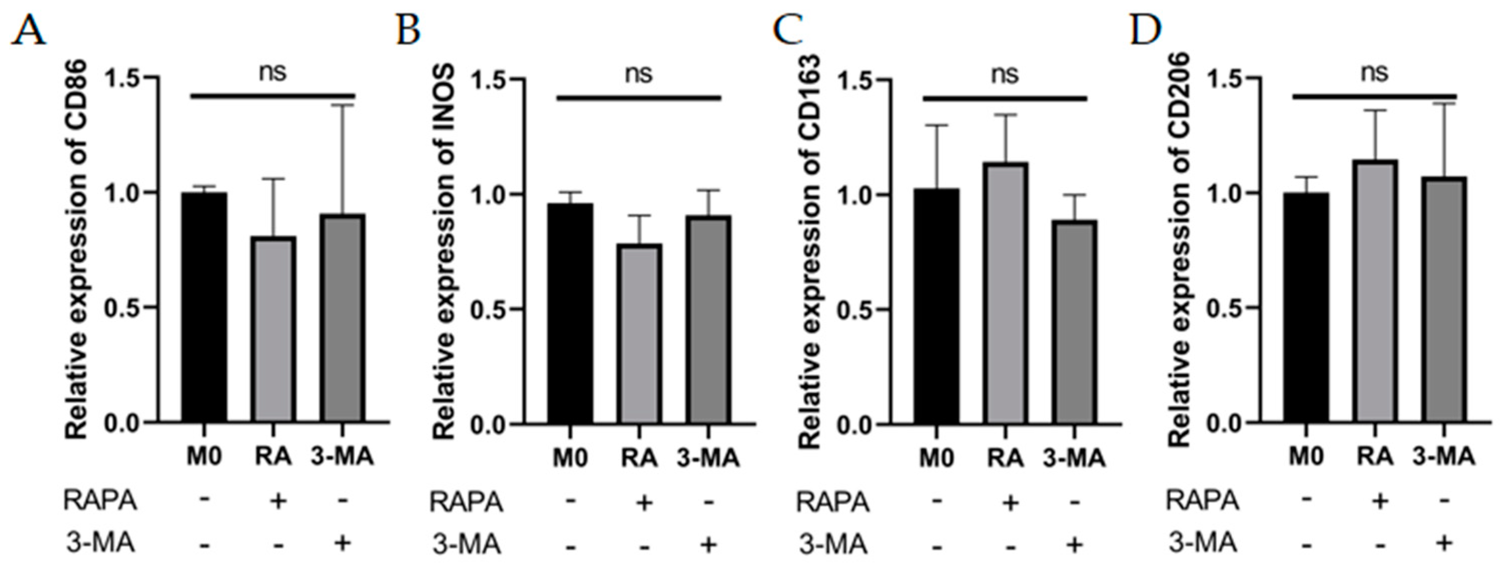 Cells 11 03895 g003a Cells 11 03895 g003a