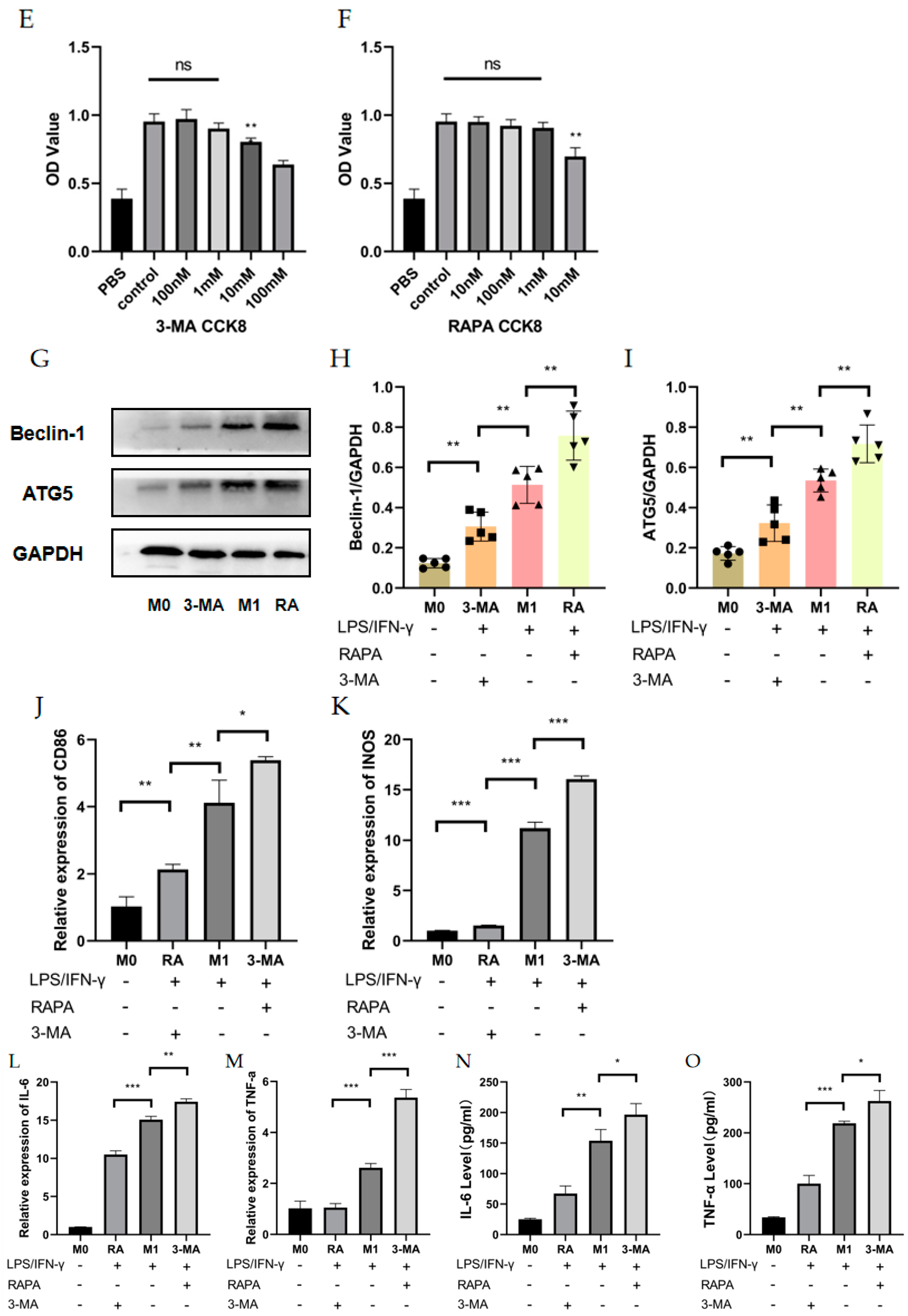 Cells 11 03895 g003b Cells 11 03895 g003b