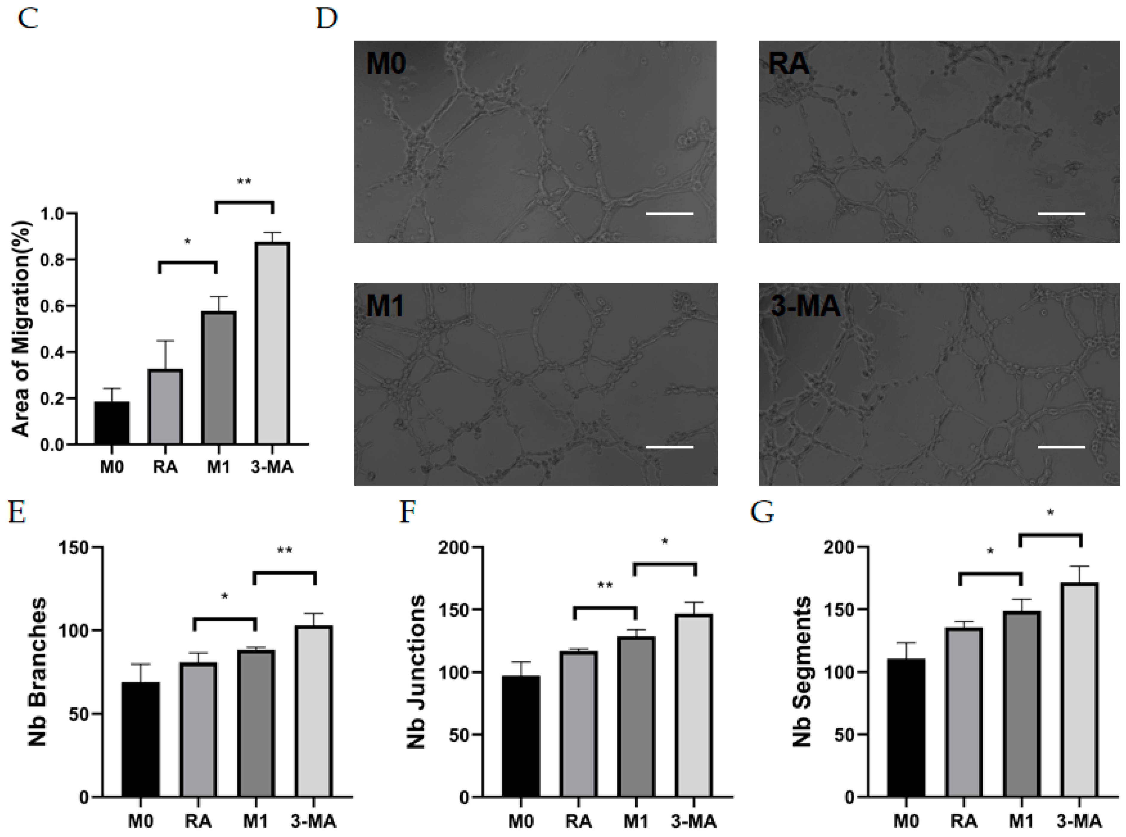 Cells 11 03895 g004b Cells 11 03895 g004b