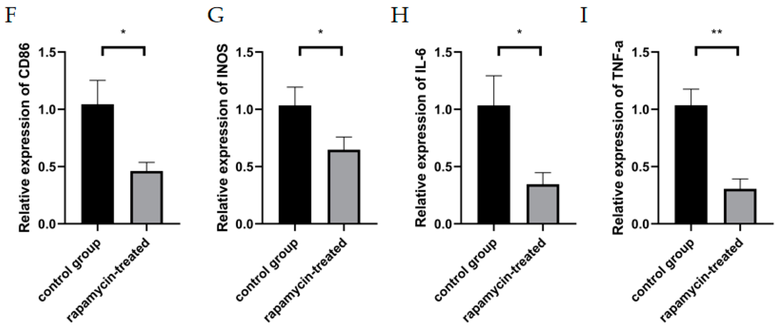 Cells 11 03895 g005b Cells 11 03895 g005b