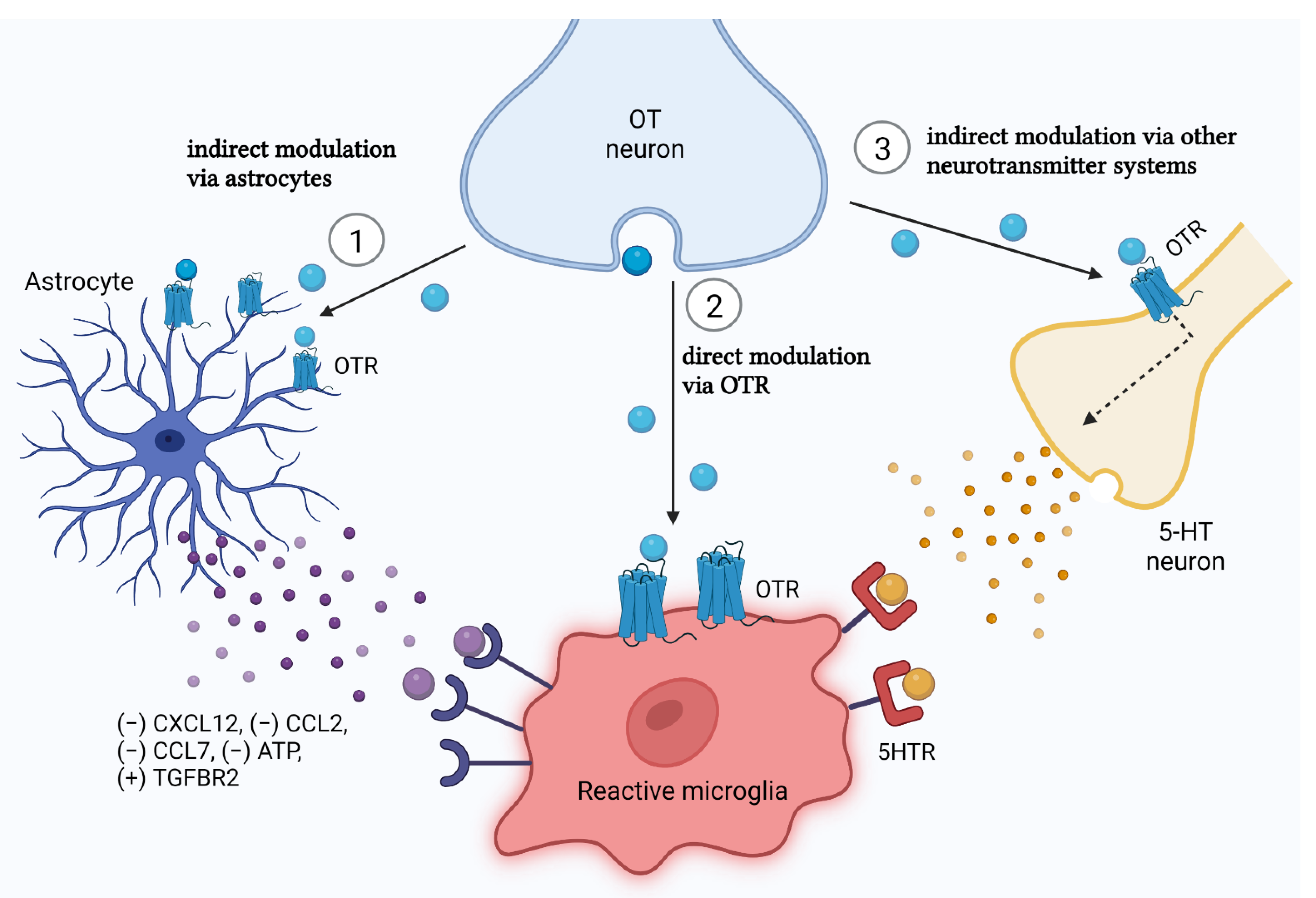 Cells 11 03899 g002 Cells 11 03899 g002