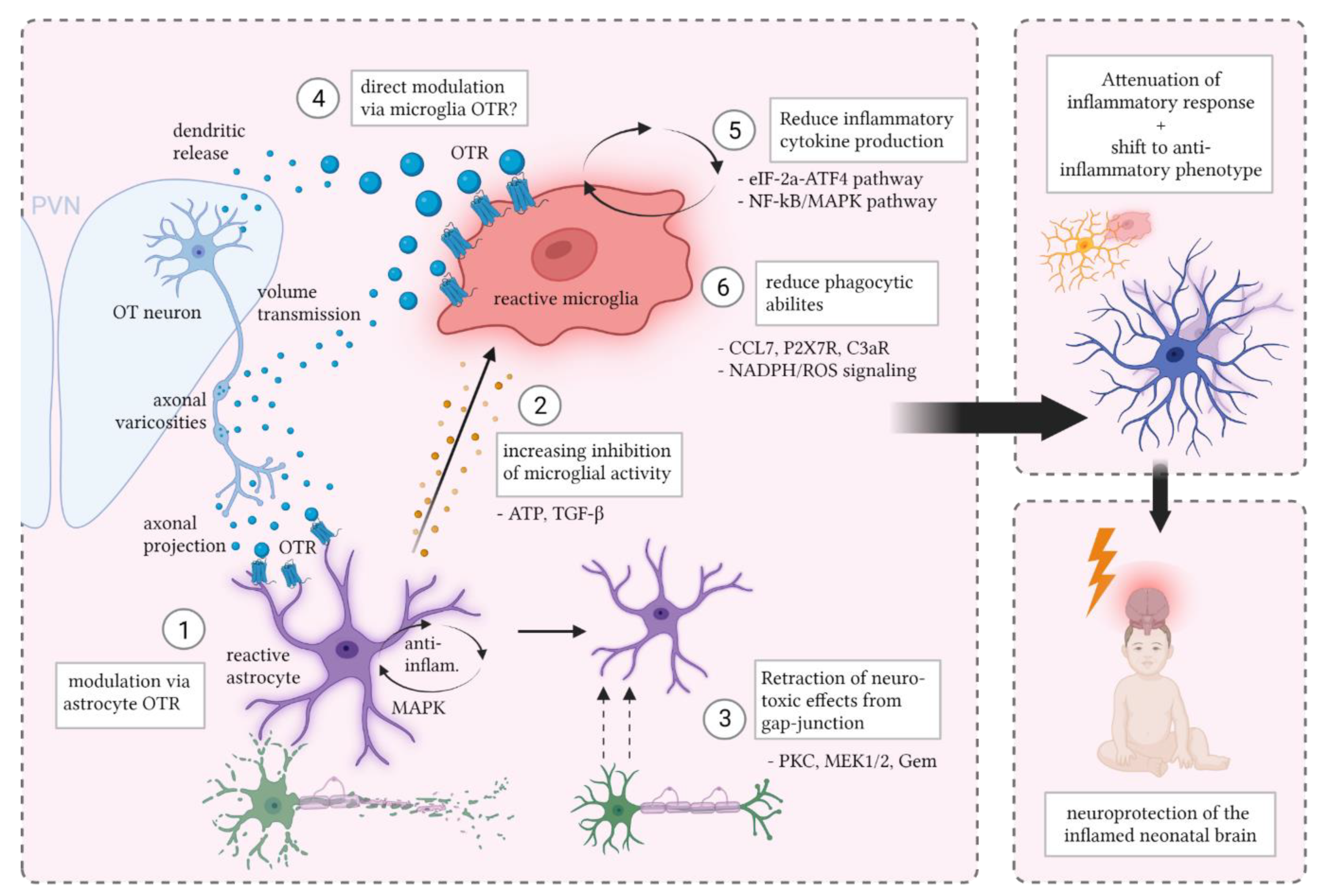 Cells 11 03899 g003 Cells 11 03899 g003
