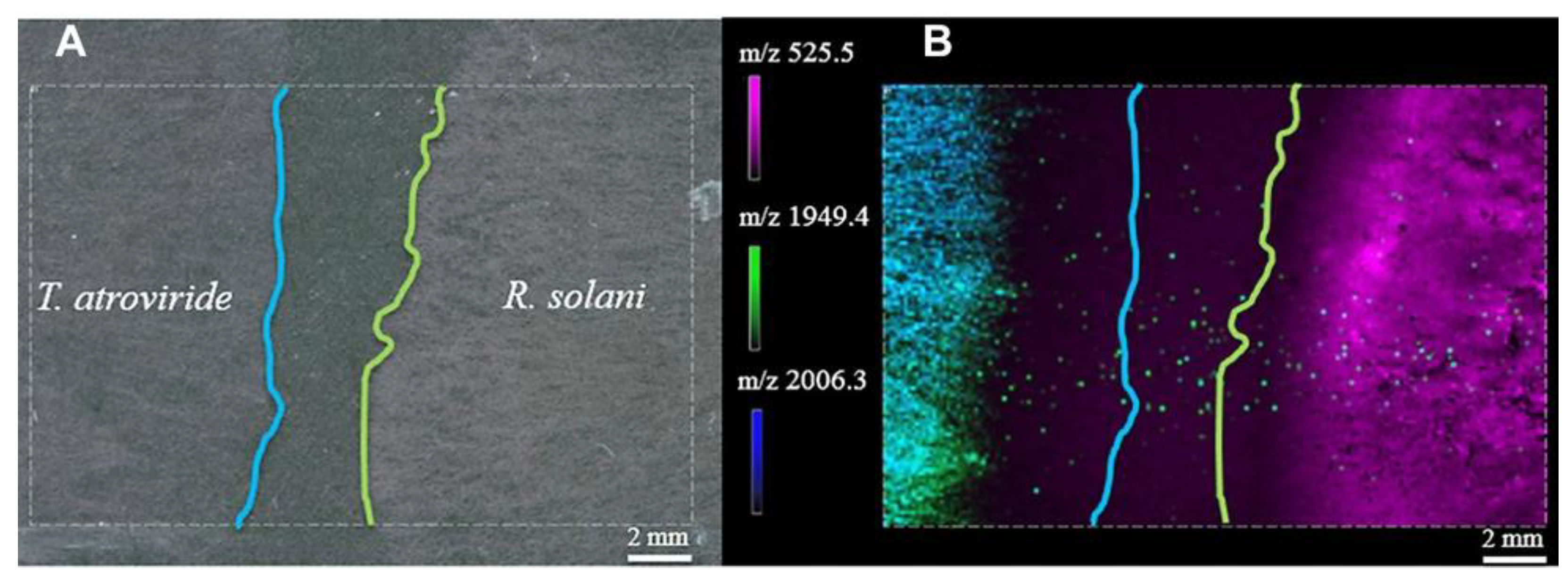 Cells 11 03900 g002 Cells 11 03900 g002