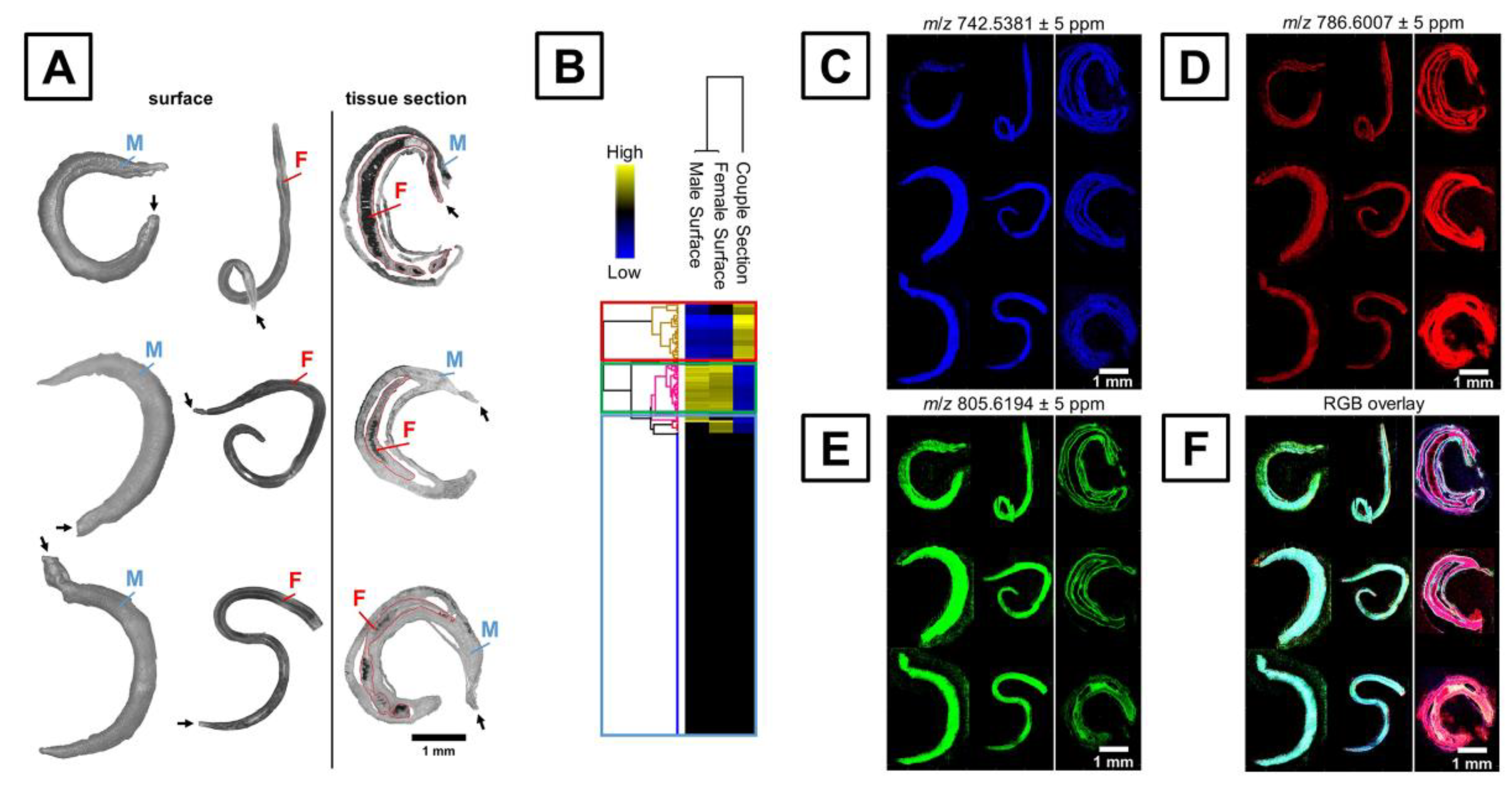 Cells 11 03900 g005 Cells 11 03900 g005